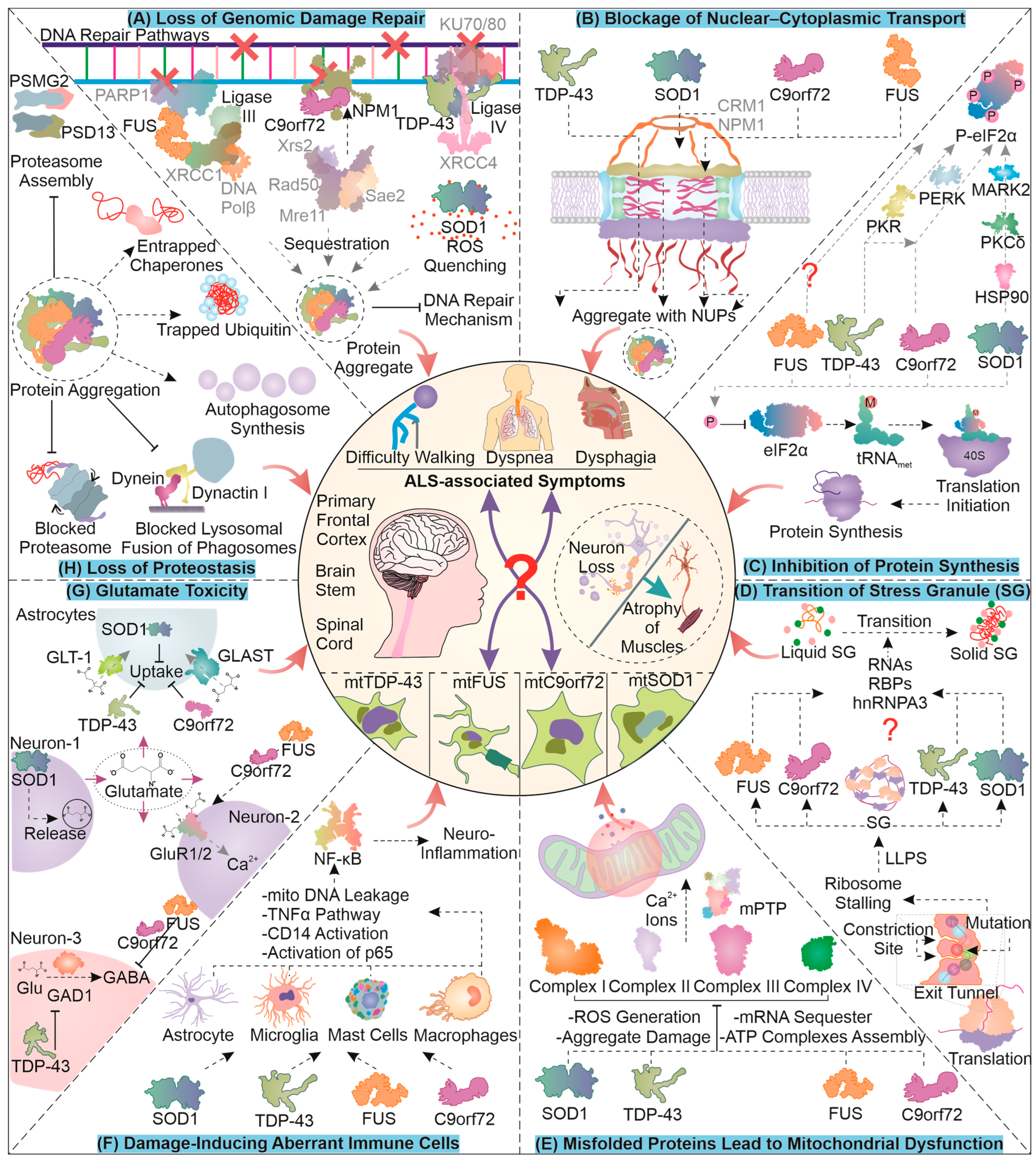 Cells 12 01302 g001 Cells 12 01302 g001
