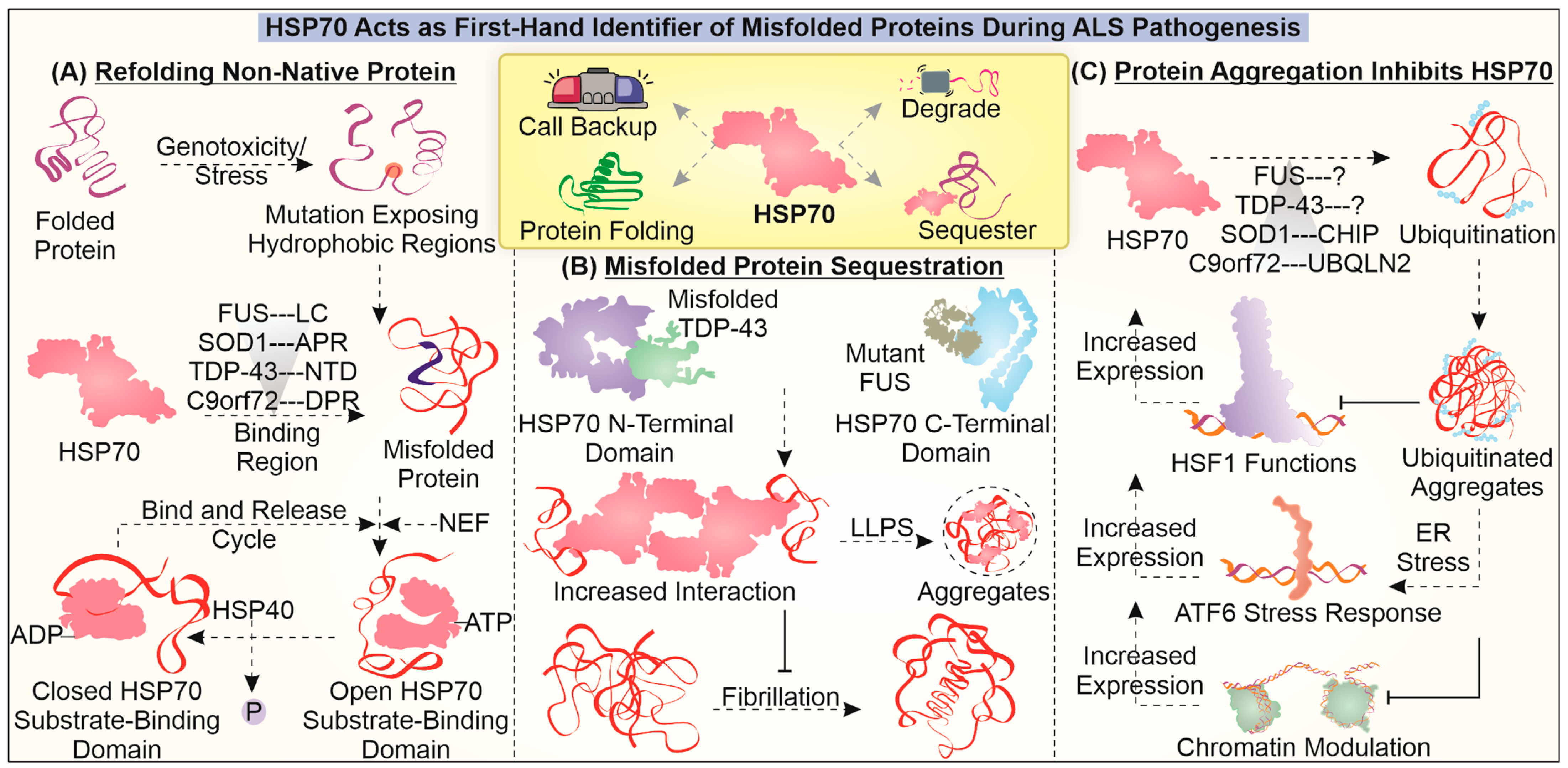 Cells 12 01302 g002 Cells 12 01302 g002