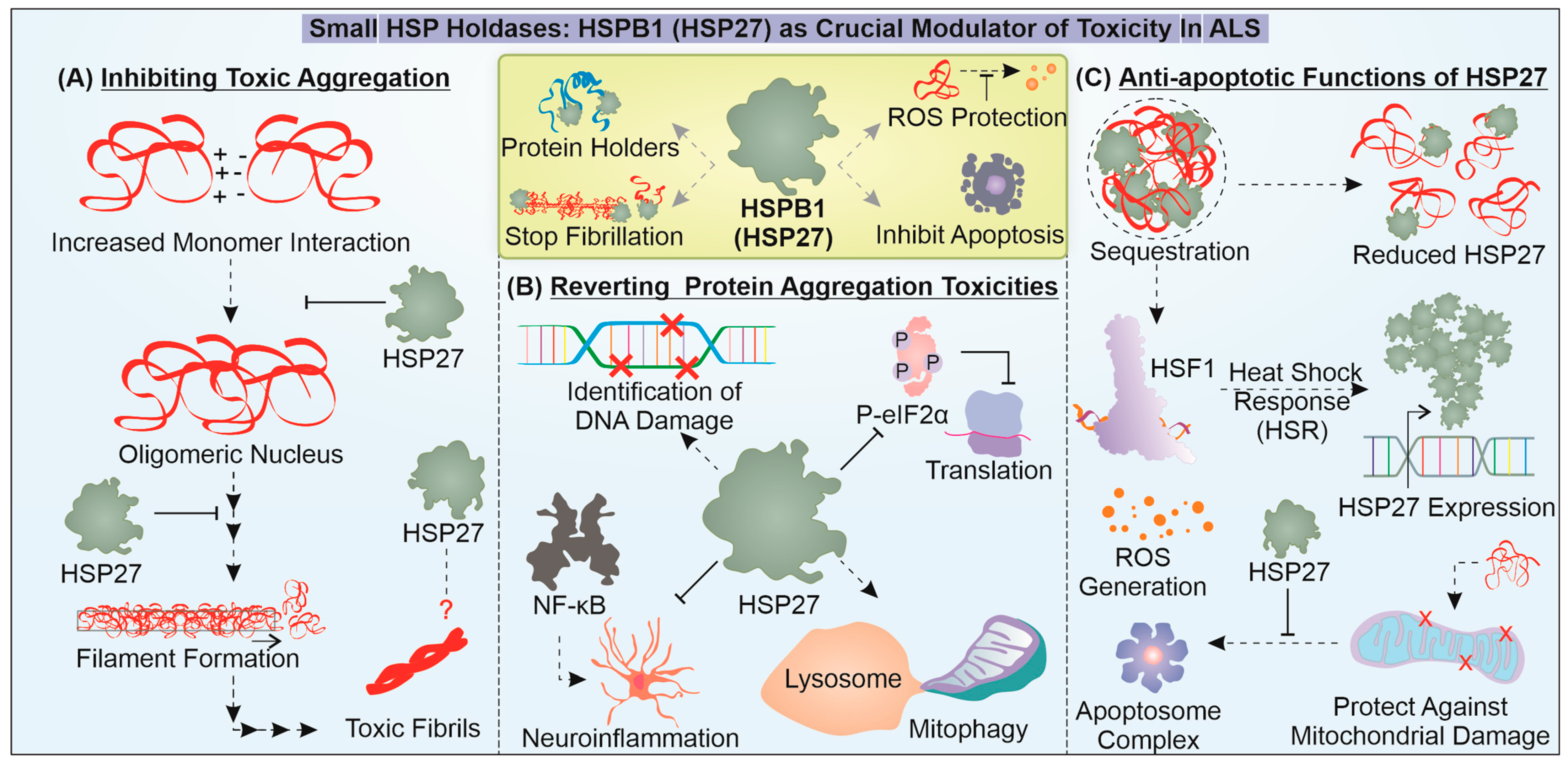 Cells 12 01302 g003 Cells 12 01302 g003