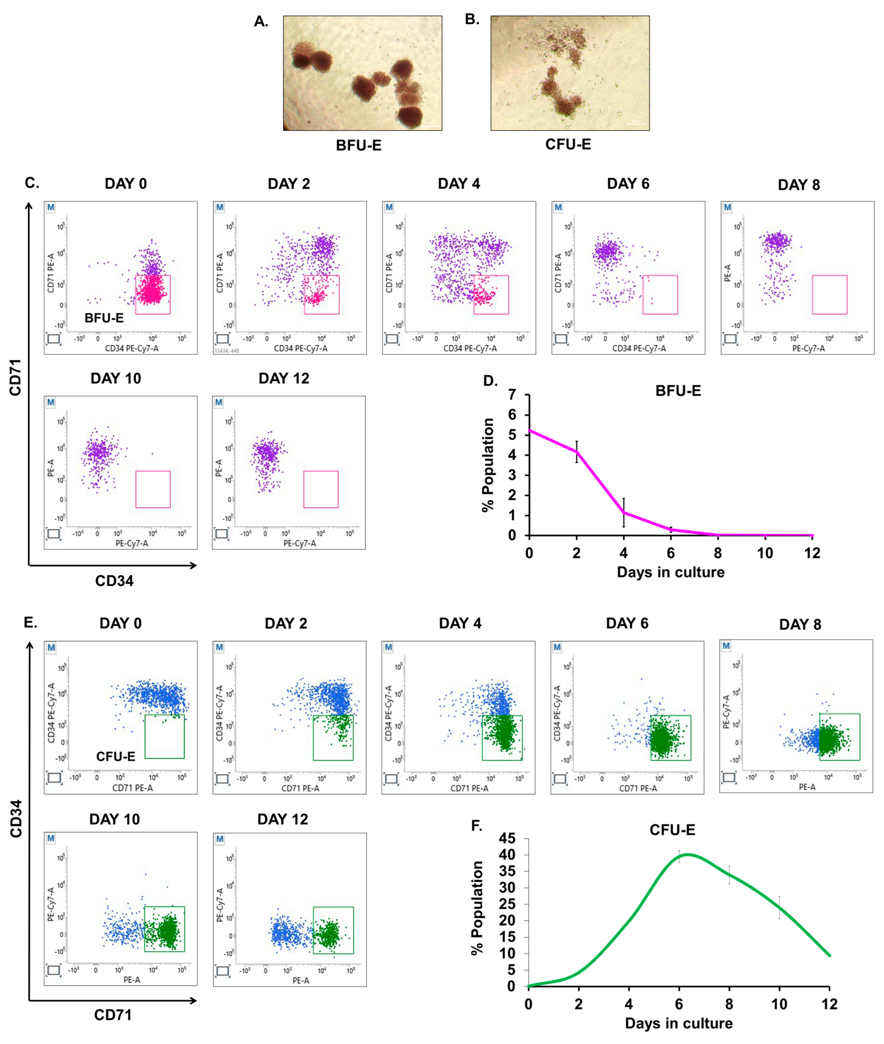 Cells 12 01303 g004a