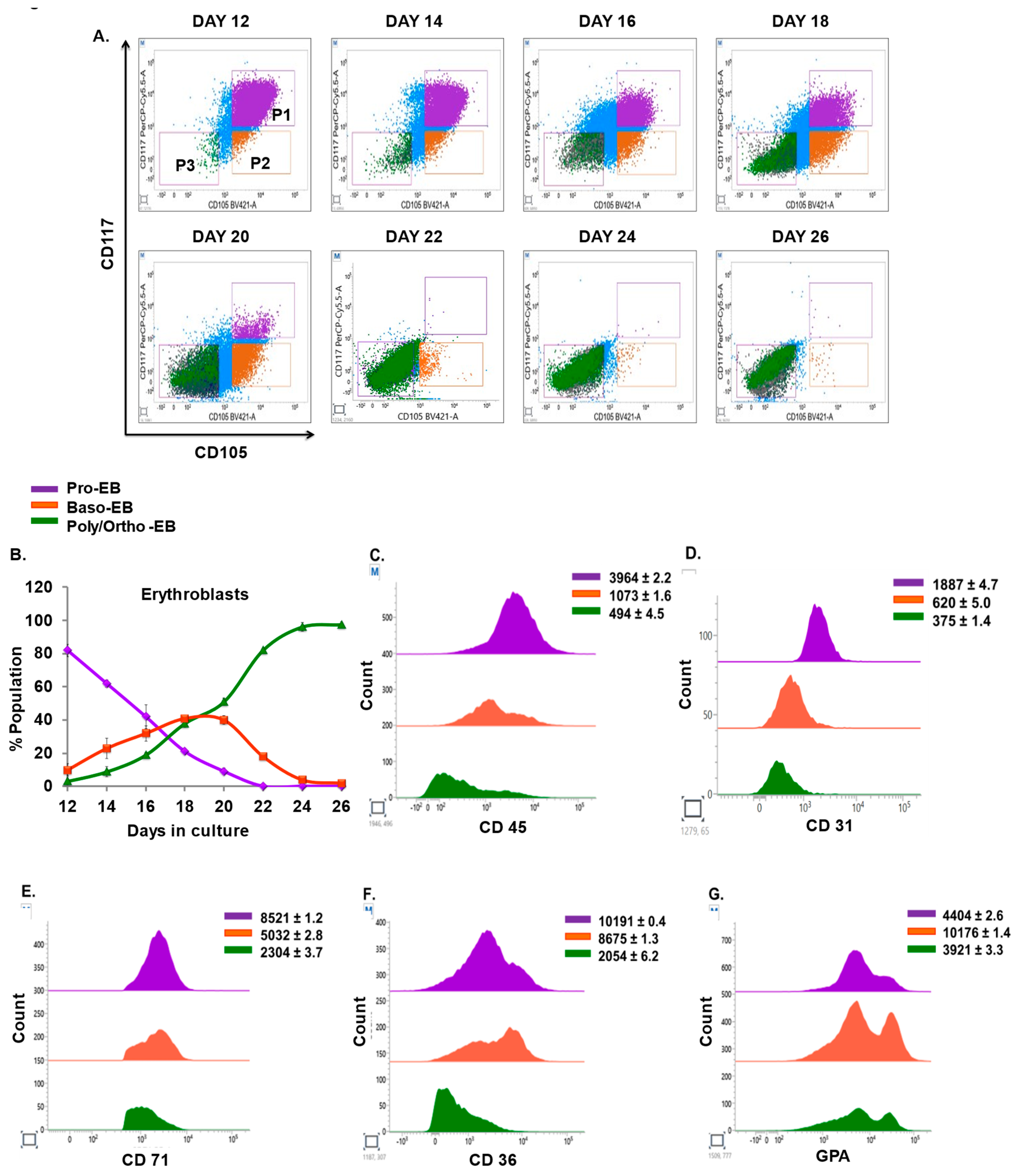 Cells 12 01303 g005a
