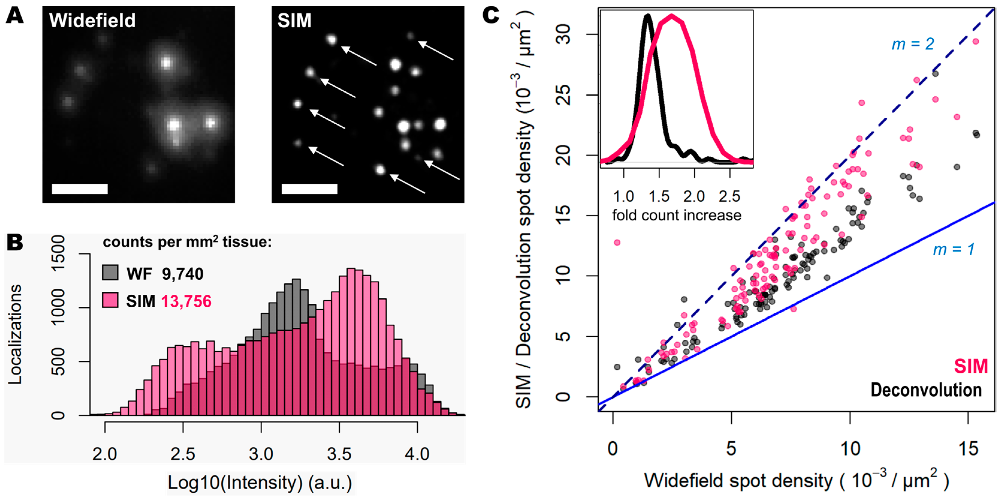 Cells 12 01310 g002 Cells 12 01310 g002