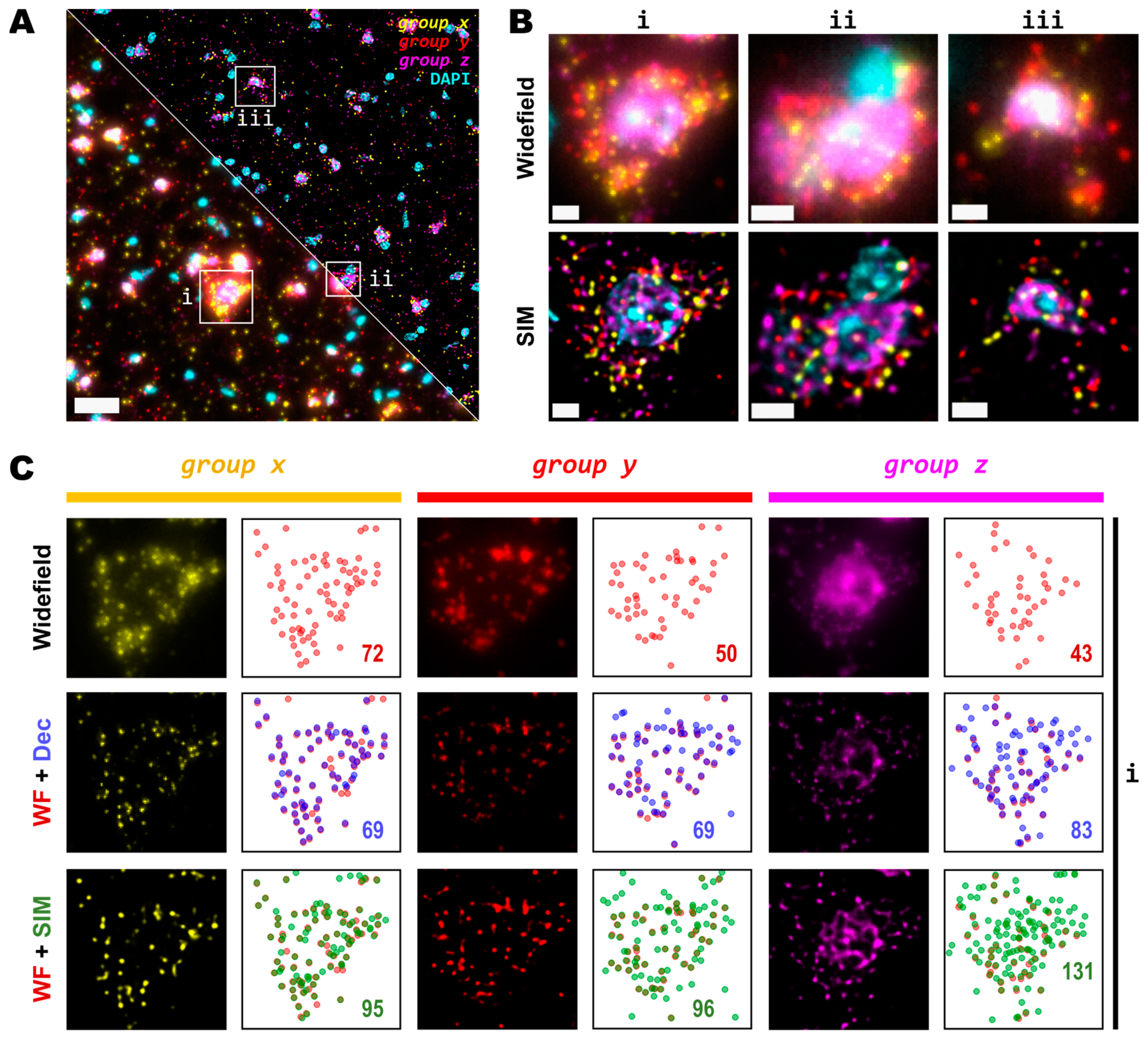 Cells 12 01310 g003 Cells 12 01310 g003