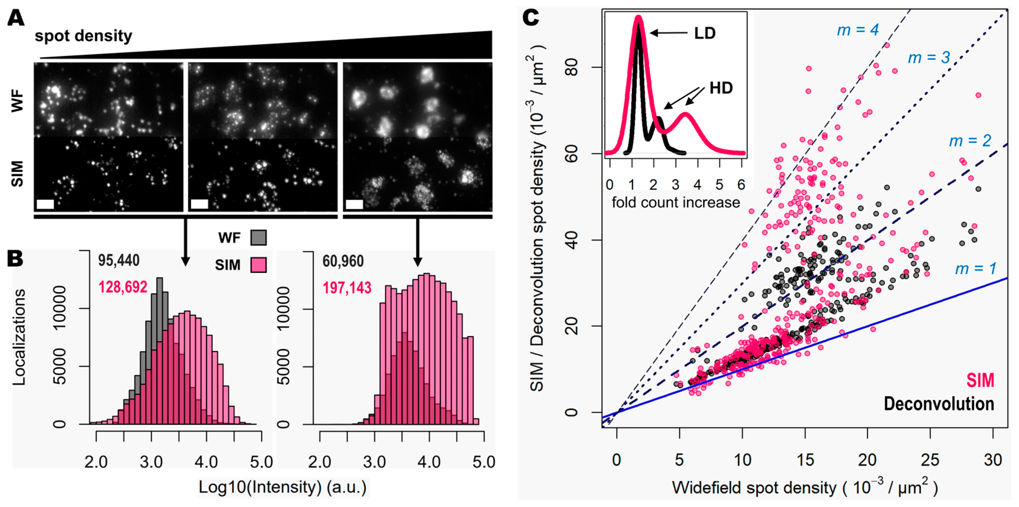 Cells 12 01310 g004 Cells 12 01310 g004