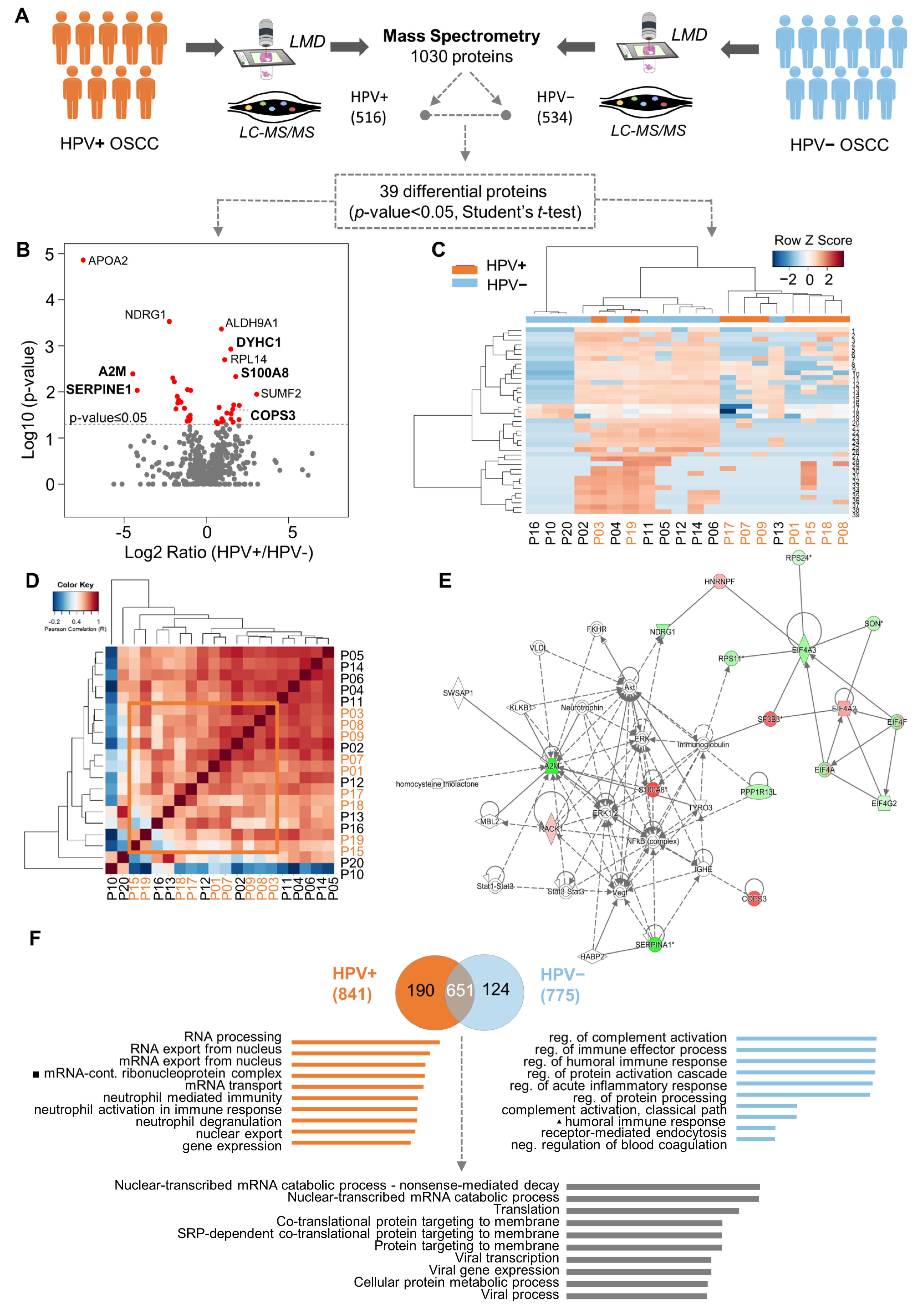 Cells 12 01323 g001 Cells 12 01323 g001