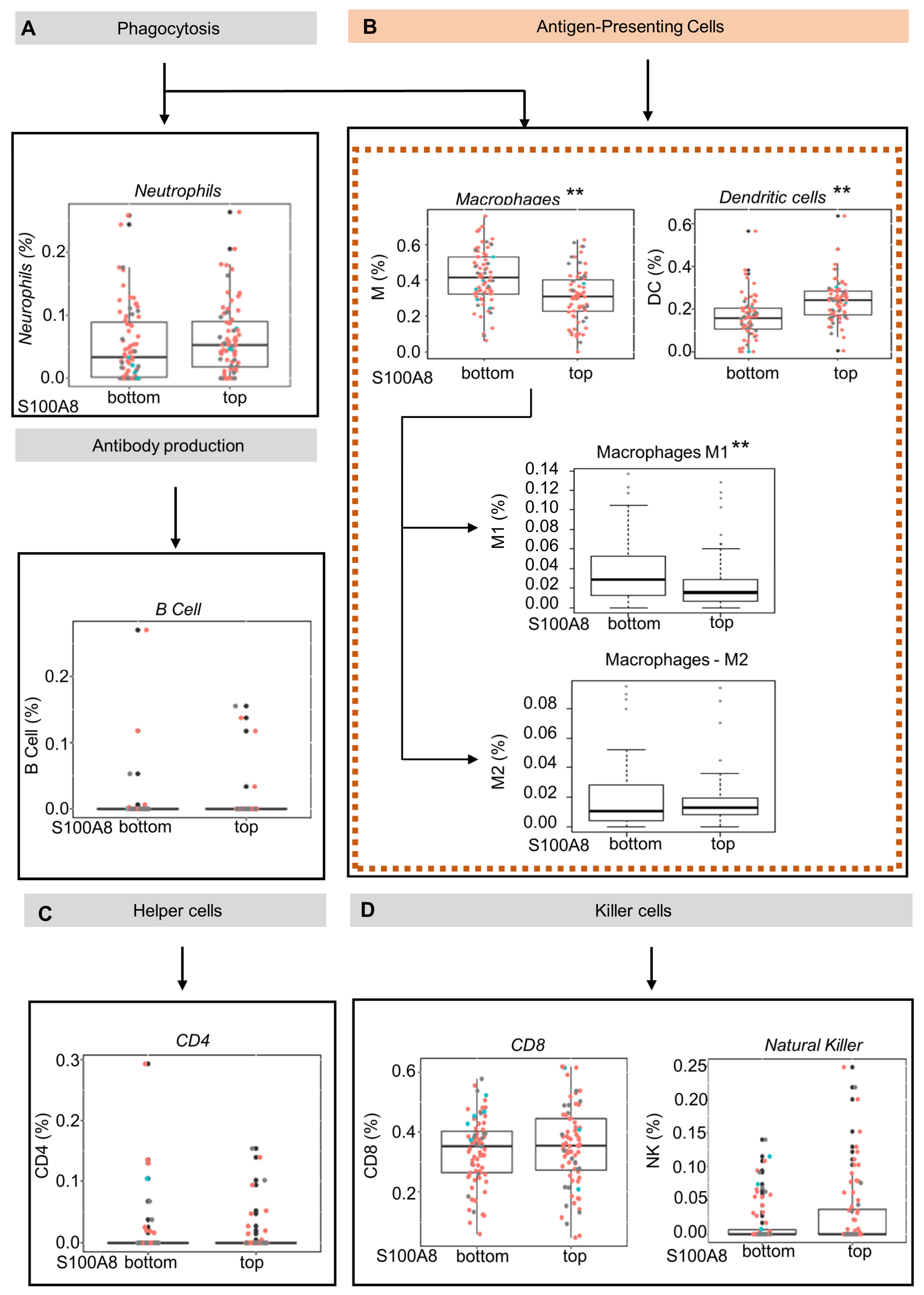 Cells 12 01323 g003 Cells 12 01323 g003