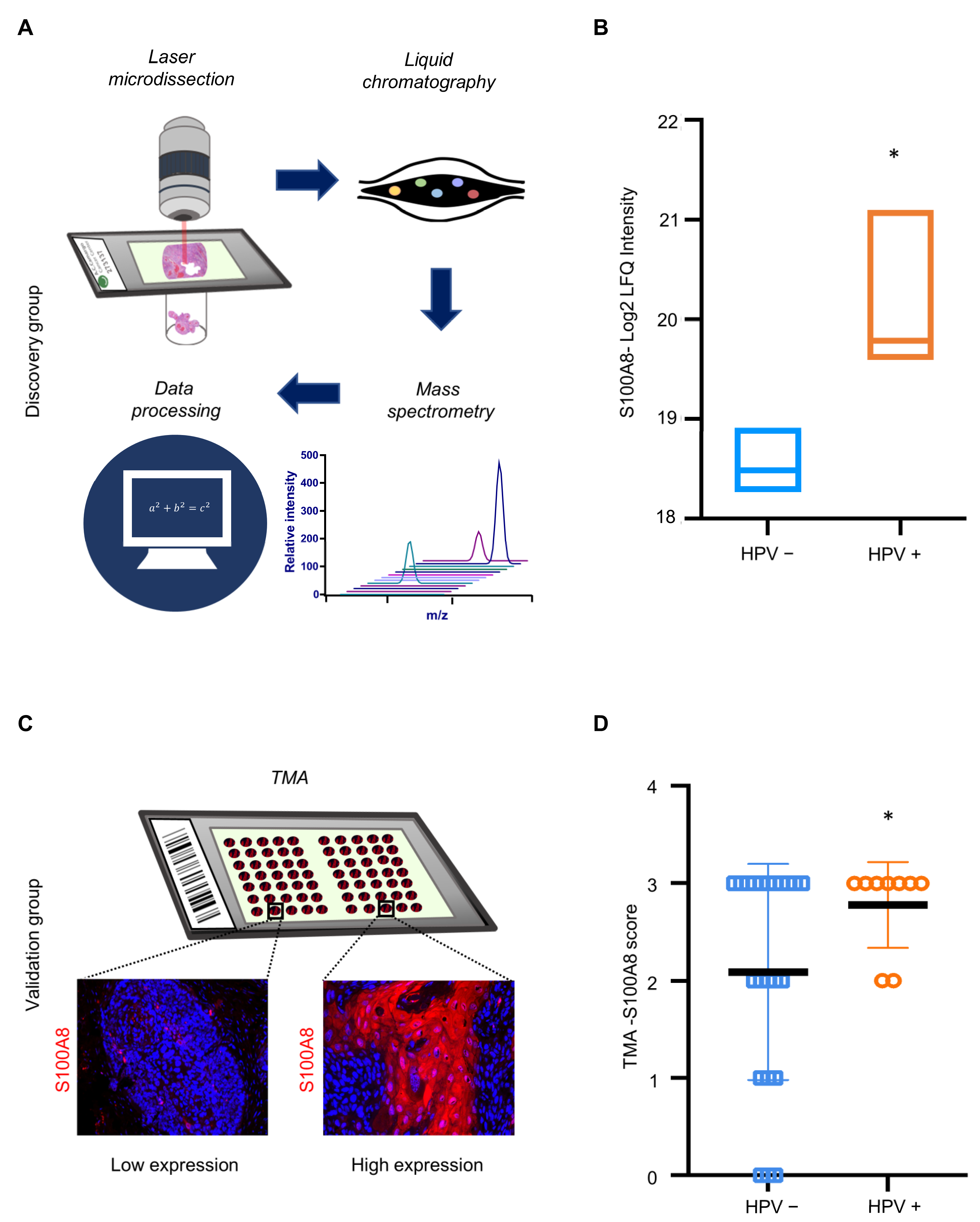 Cells 12 01323 g004 Cells 12 01323 g004