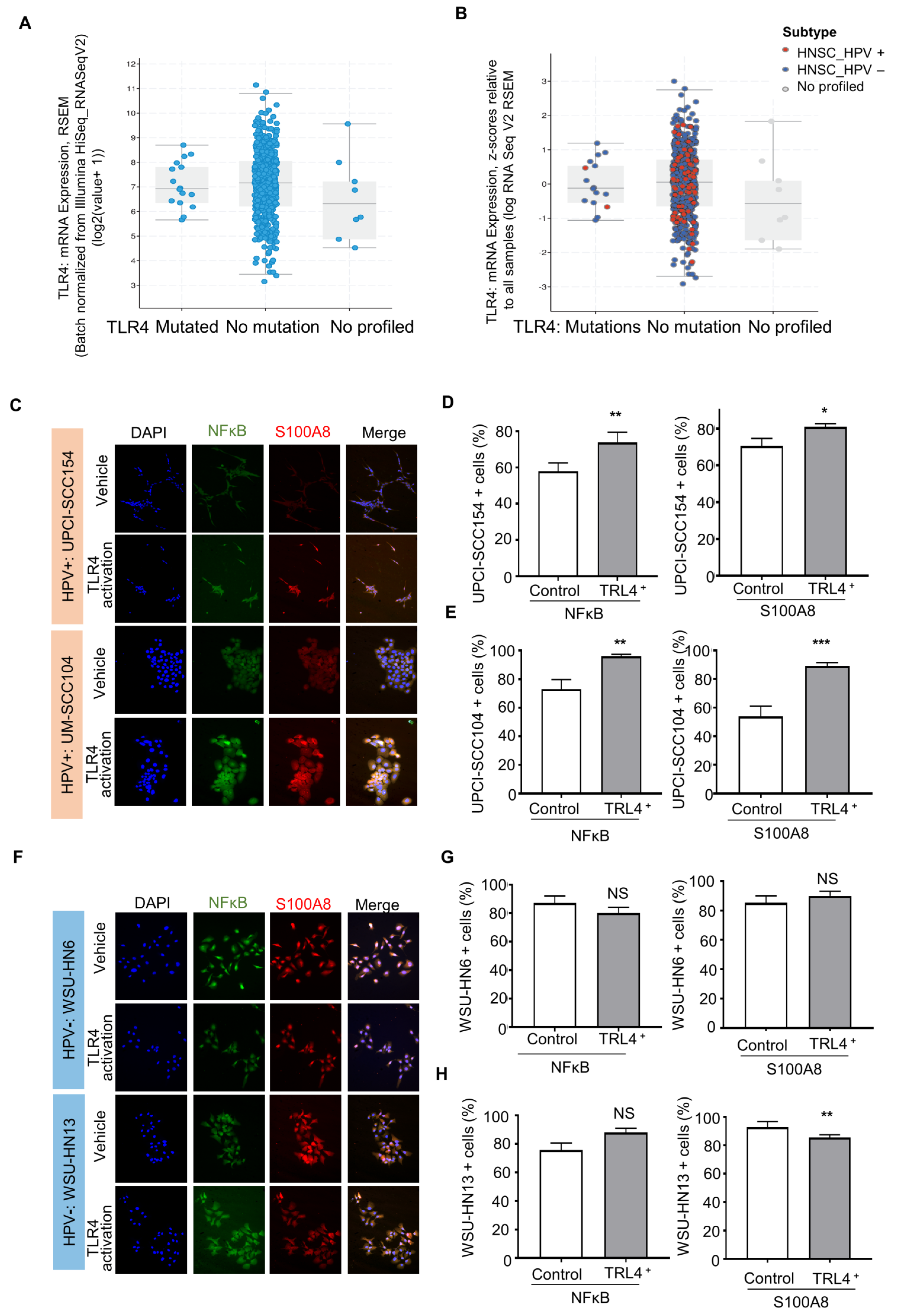 Cells 12 01323 g005 Cells 12 01323 g005