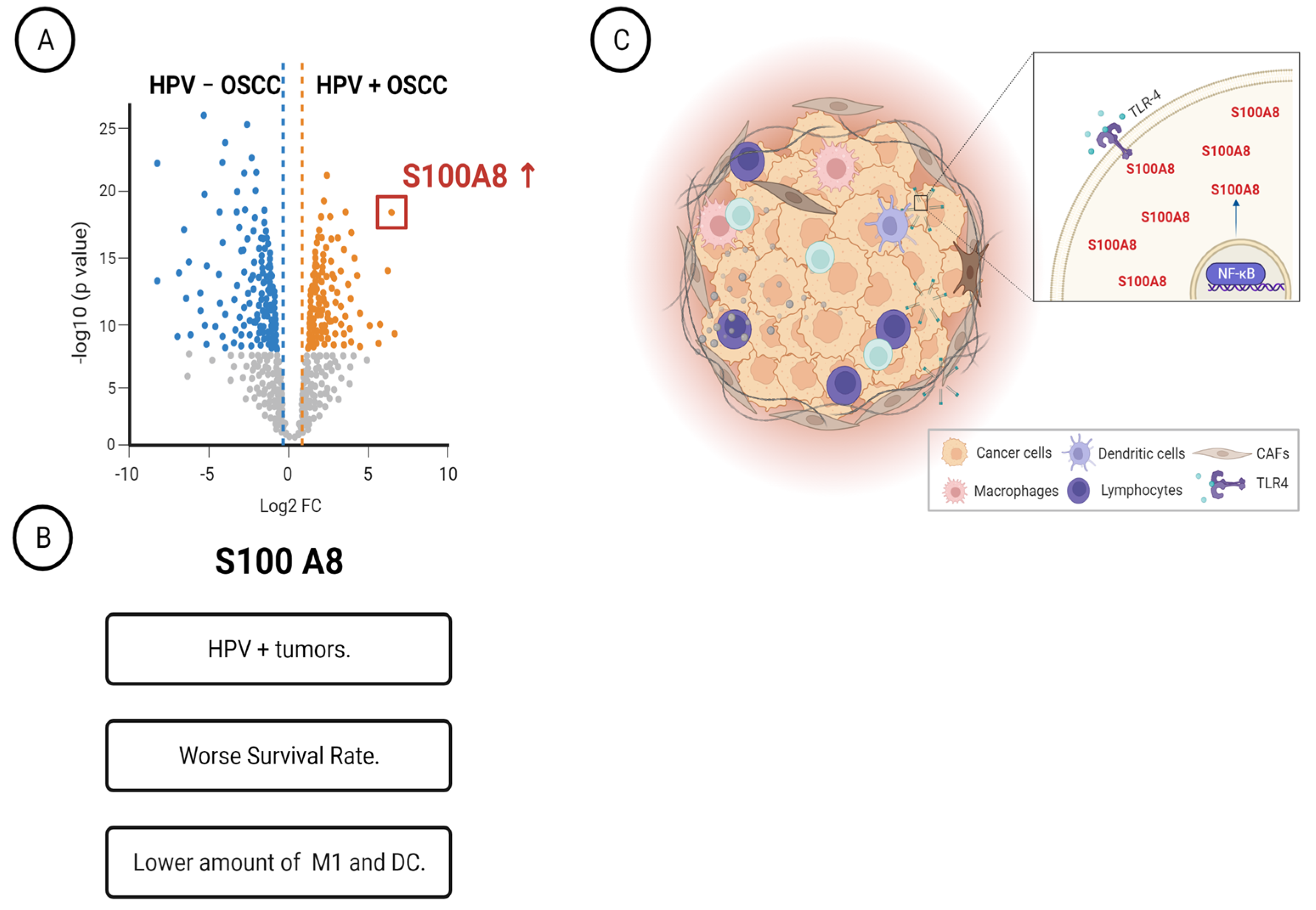Cells 12 01323 g006 Cells 12 01323 g006