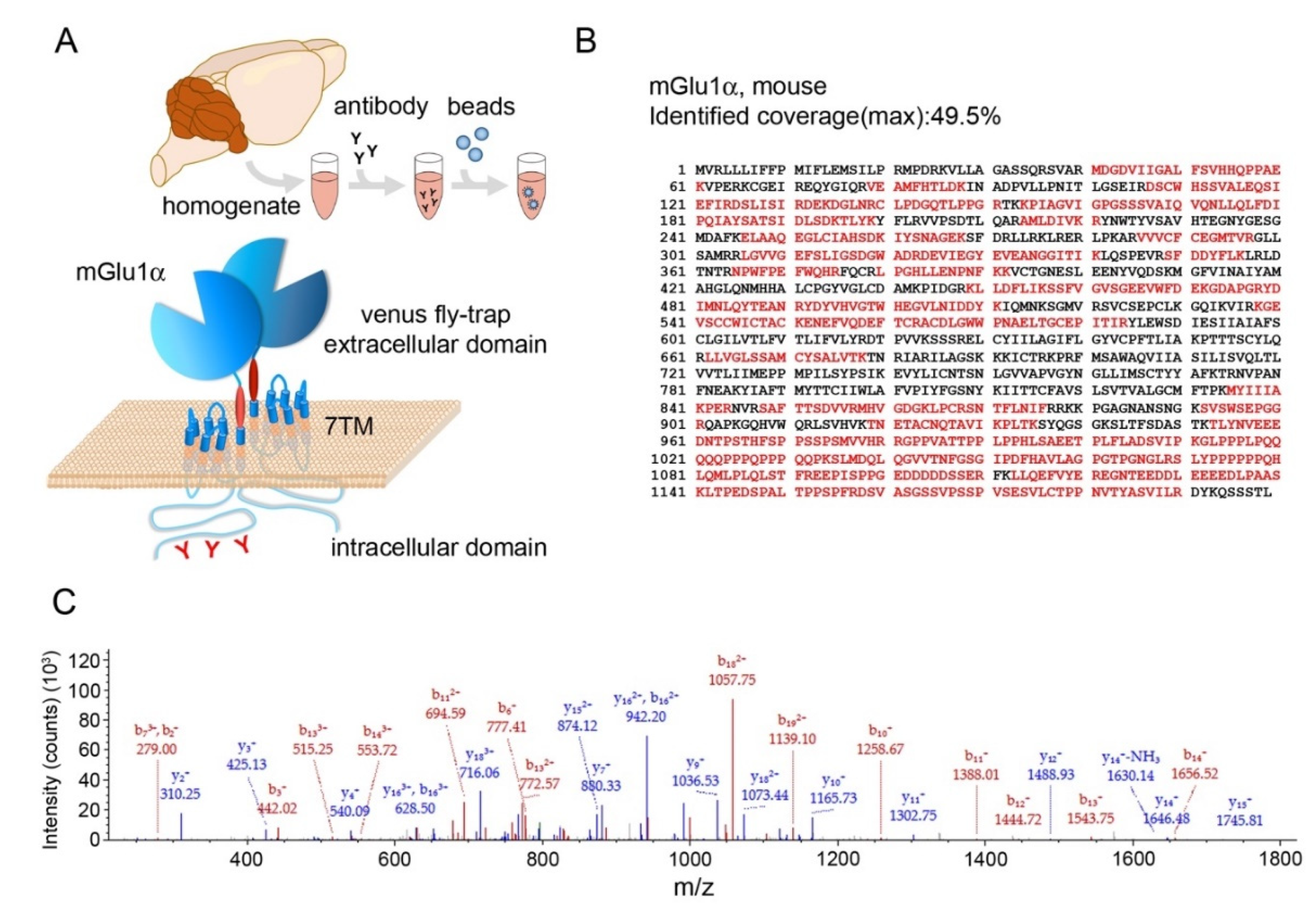 Cells 12 01325 g001 Cells 12 01325 g001