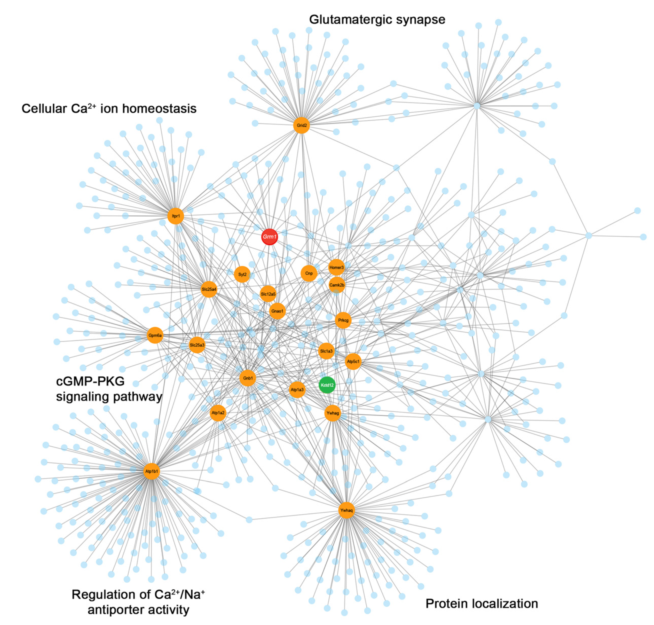 Cells 12 01325 g002 Cells 12 01325 g002