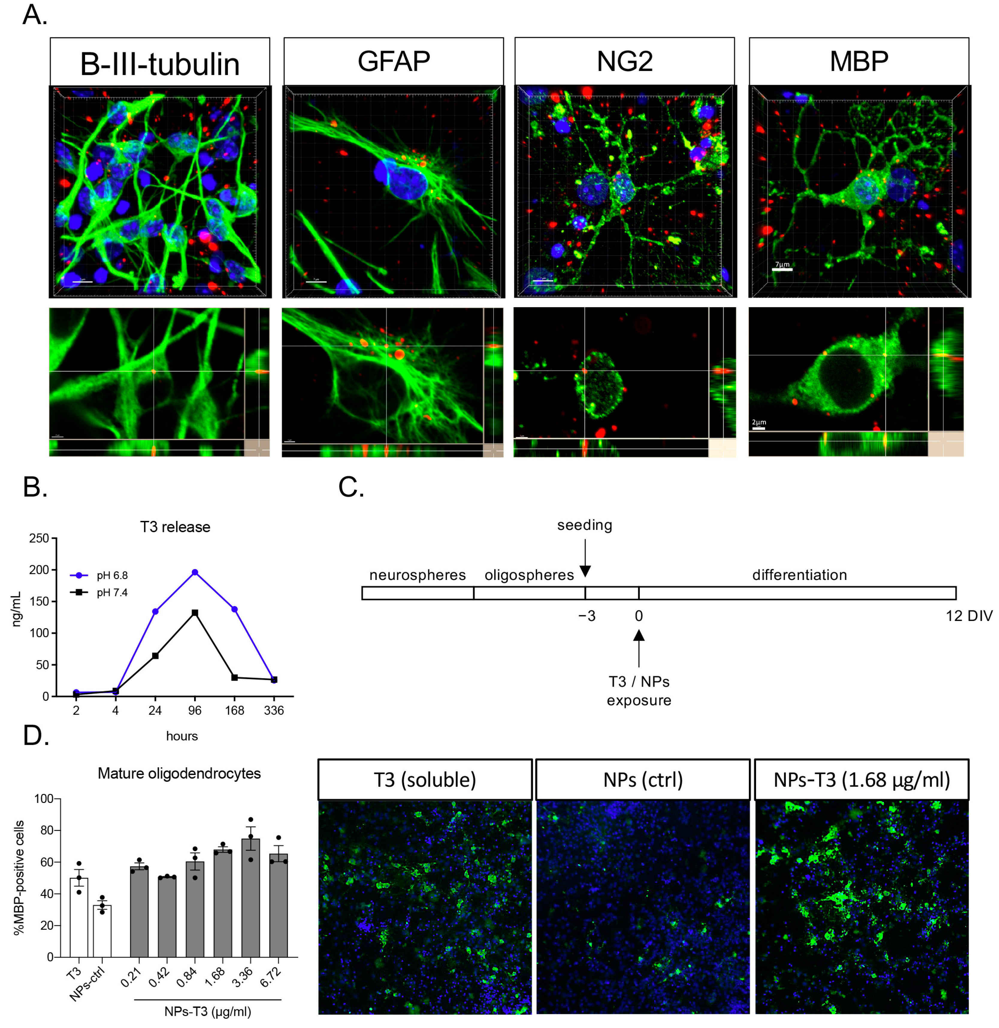 Cells 12 01331 g002 Cells 12 01331 g002