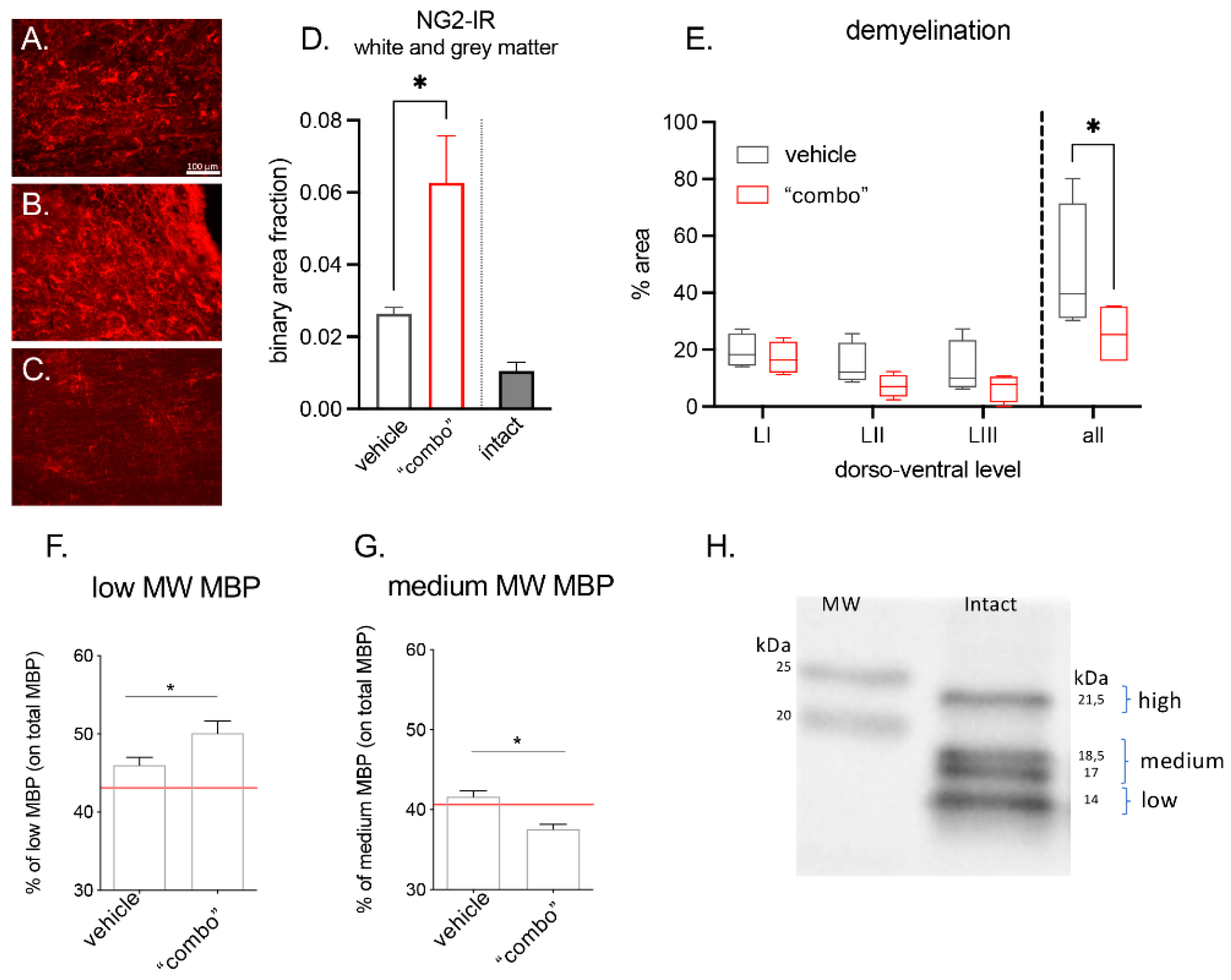 Cells 12 01331 g005 Cells 12 01331 g005
