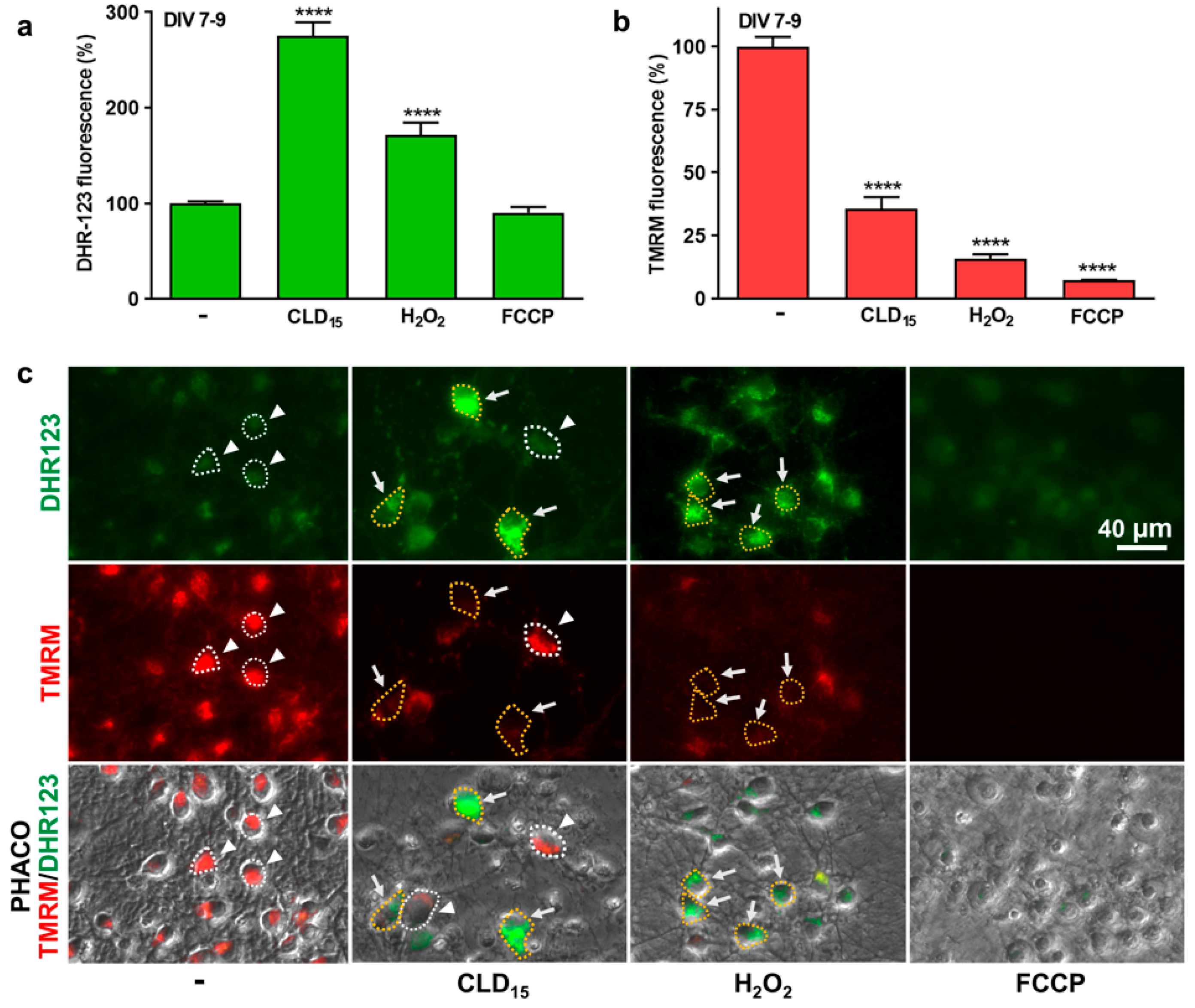 Cells 12 01336 g002 Cells 12 01336 g002