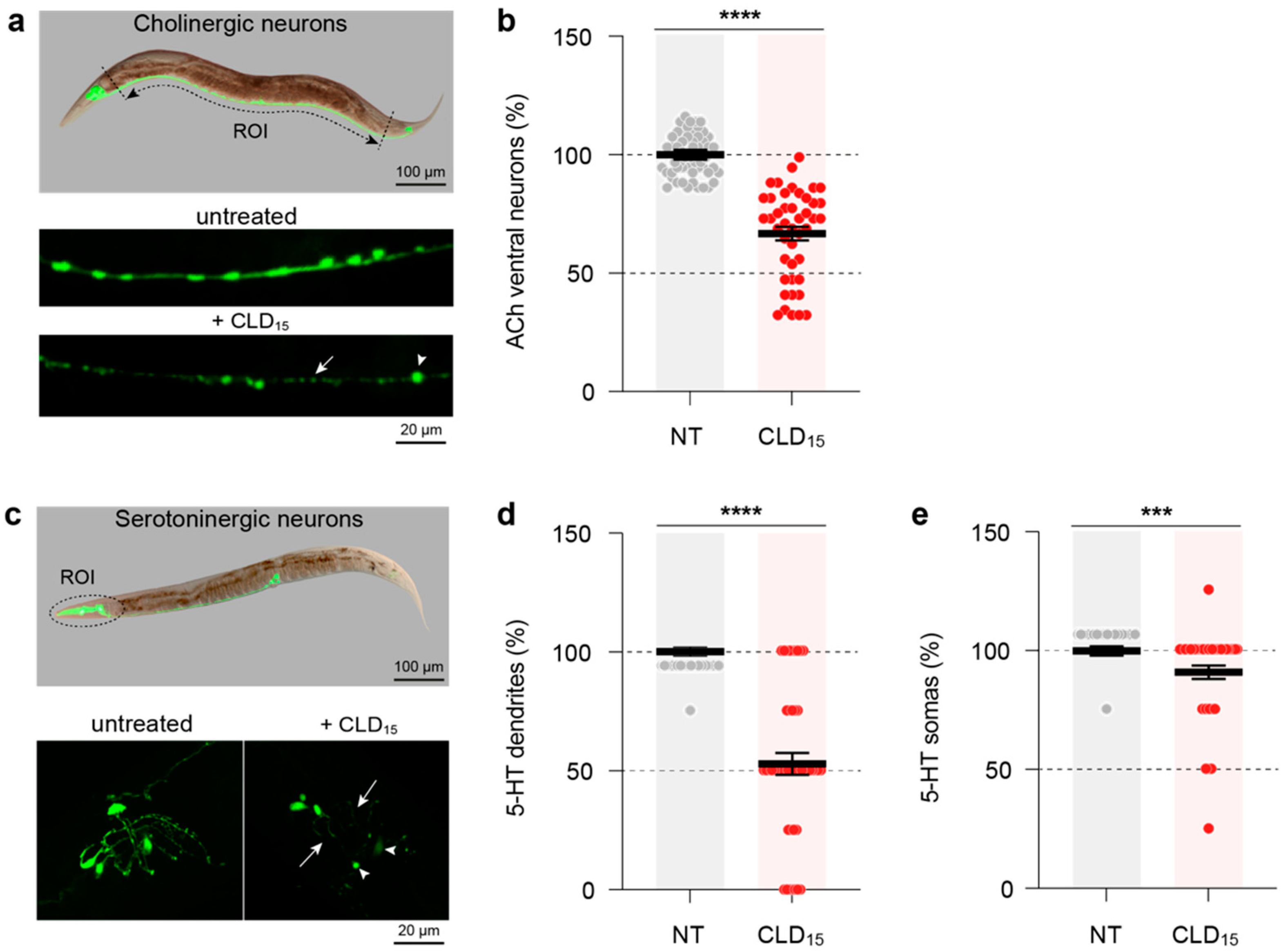 Cells 12 01336 g009 Cells 12 01336 g009