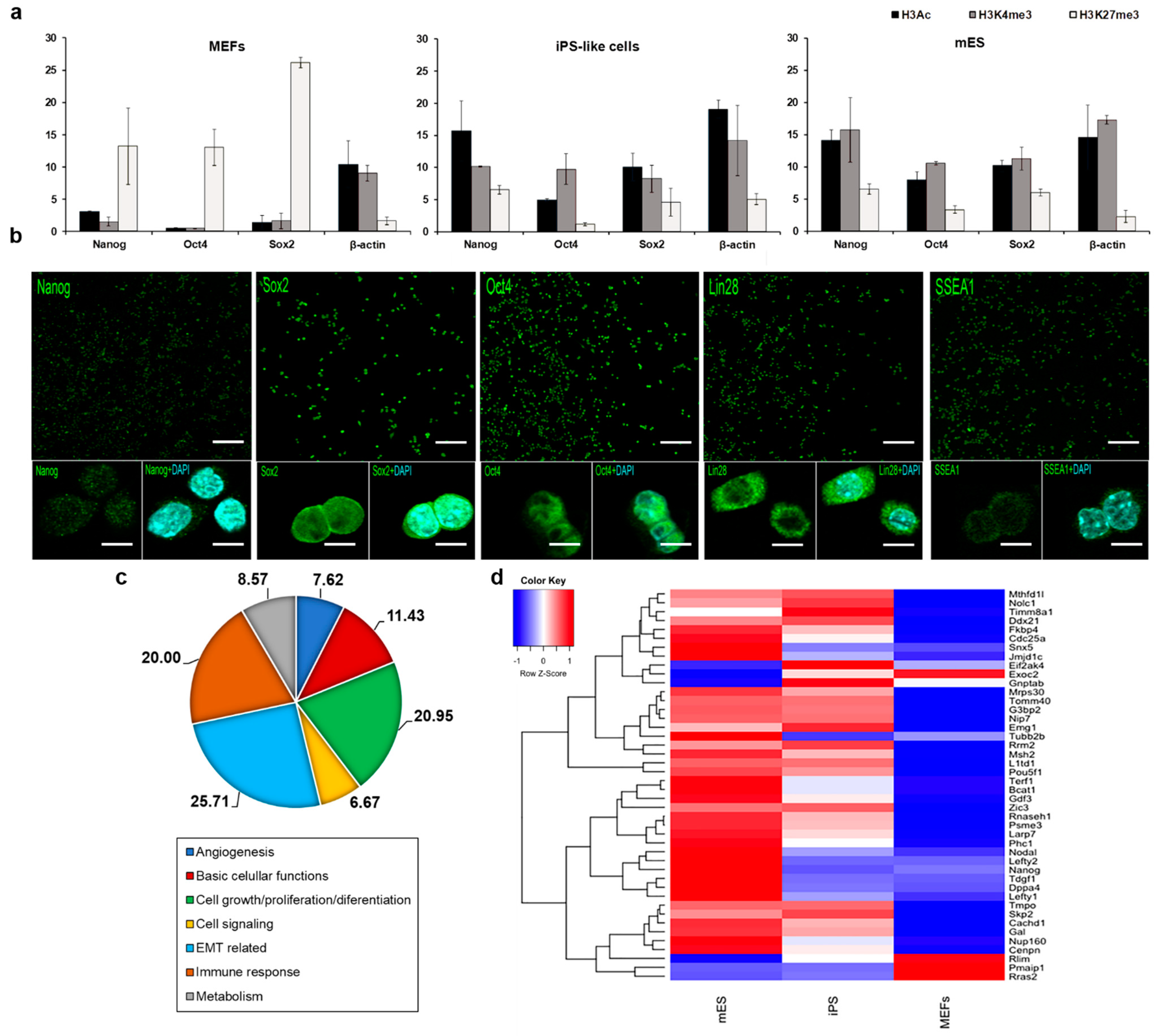 Cells 12 01338 g004
