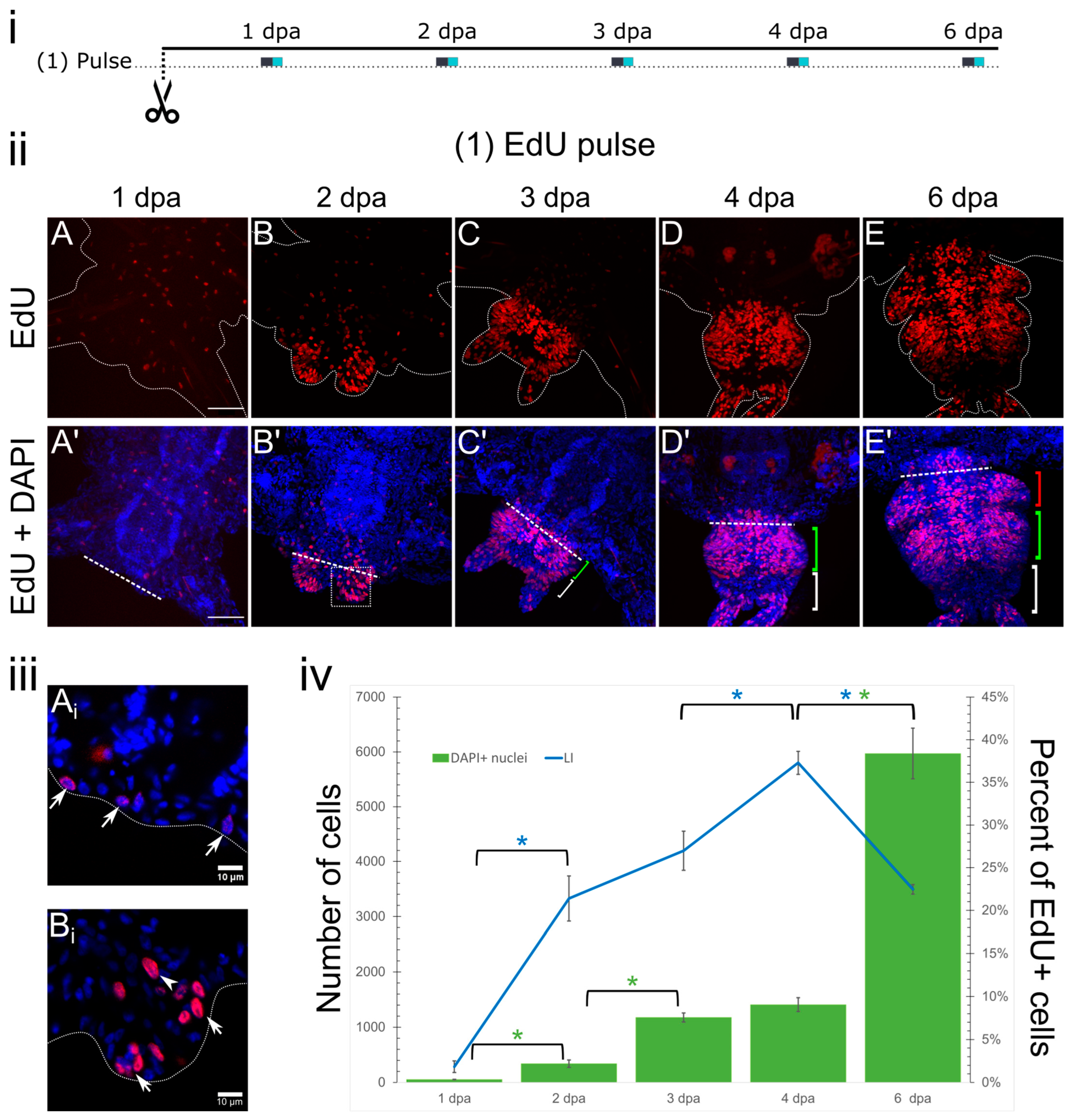 Cells 12 01354 g002