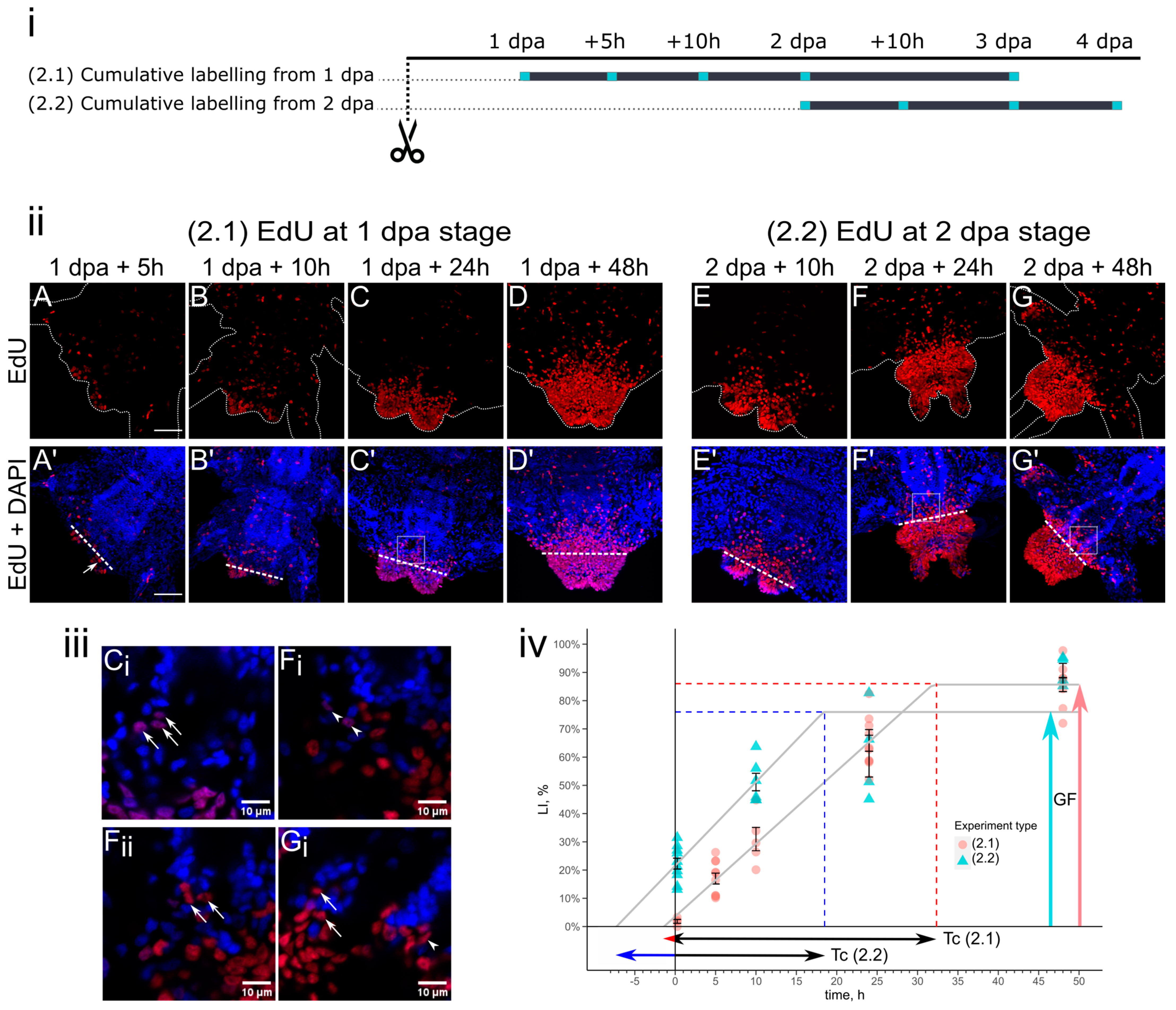 Cells 12 01354 g003