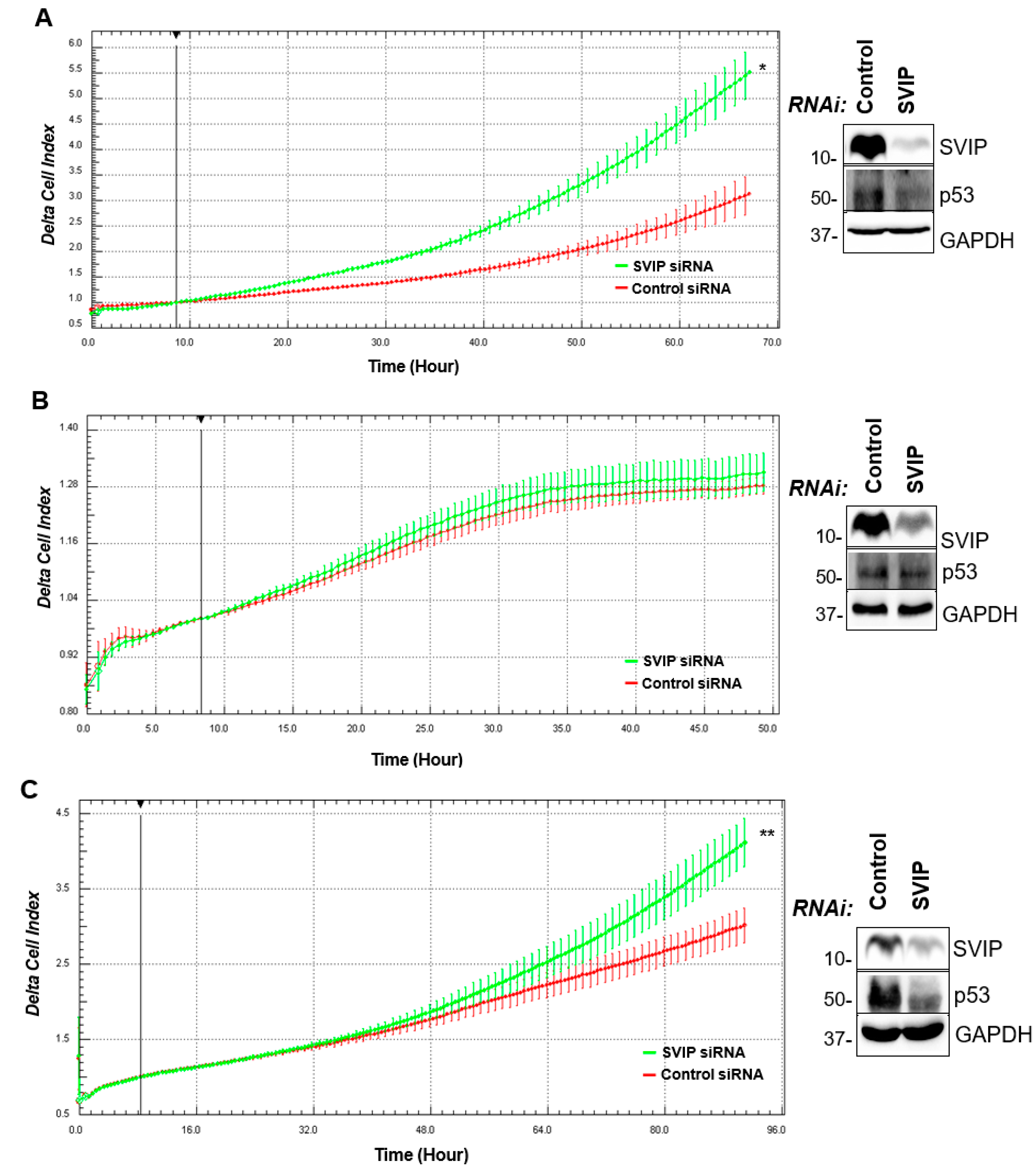 Cells 12 01362 g006a