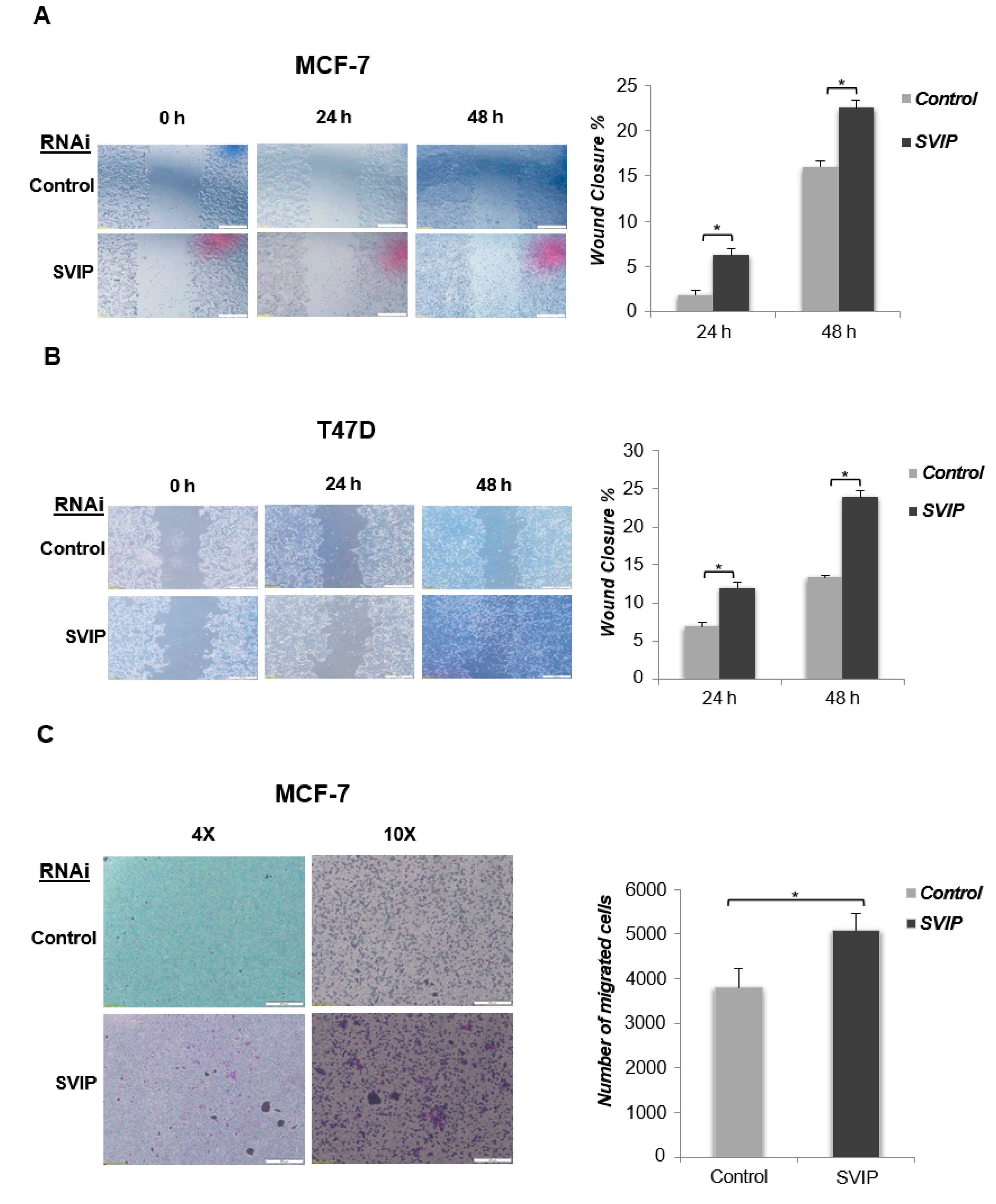 Cells 12 01362 g007a