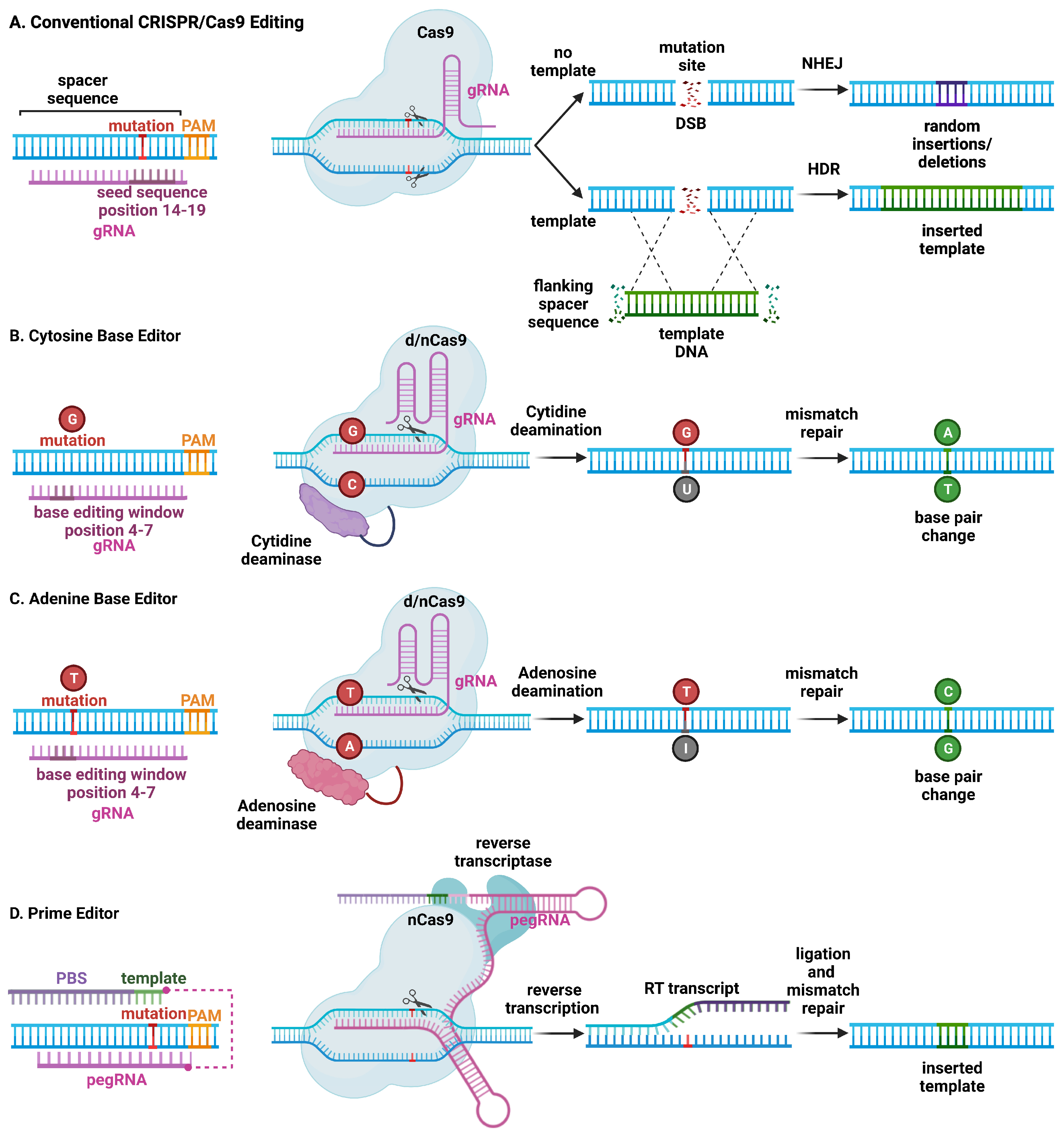 Cells 12 01363 g001