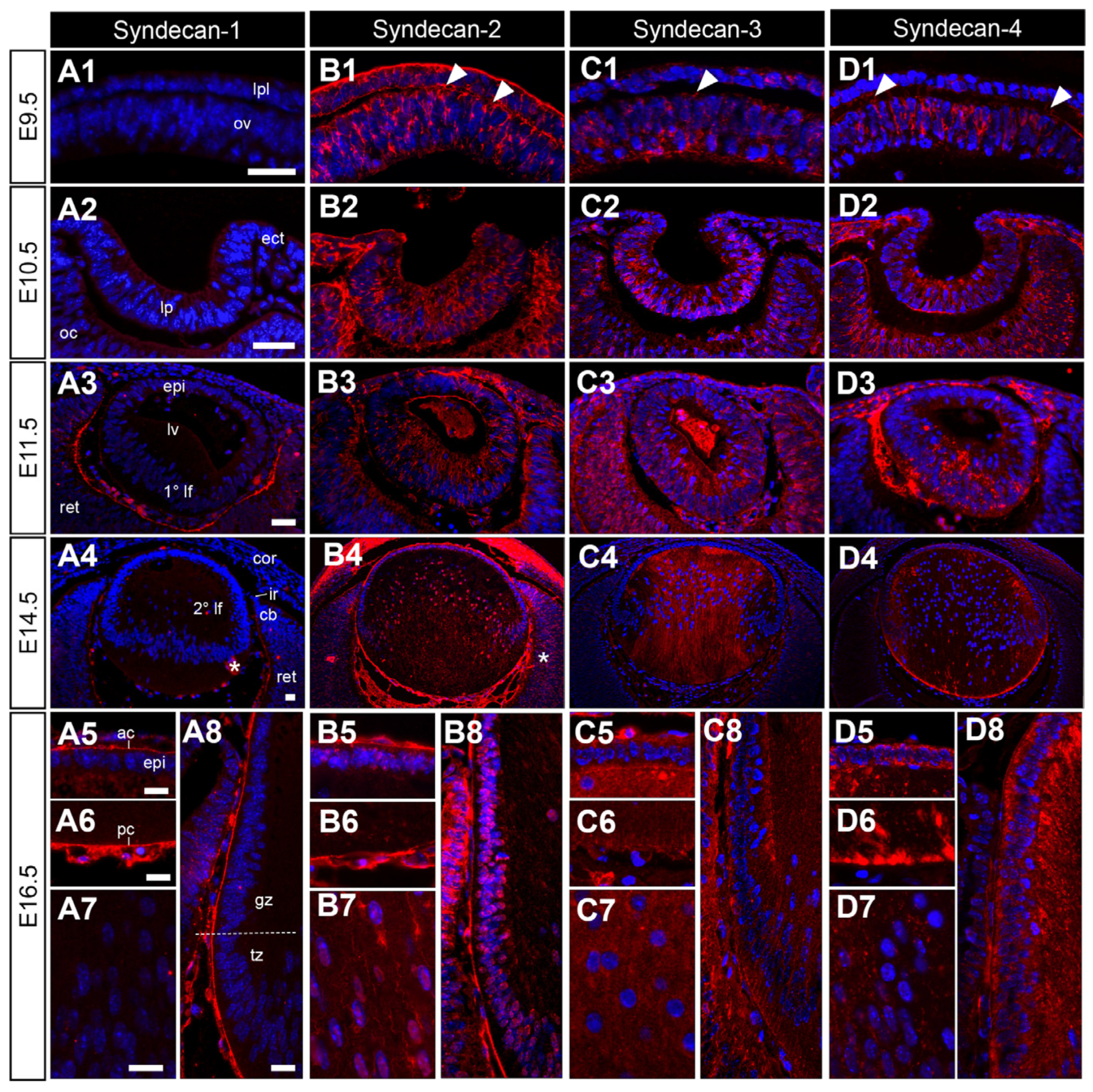 Cells 12 01364 g004 Cells 12 01364 g004