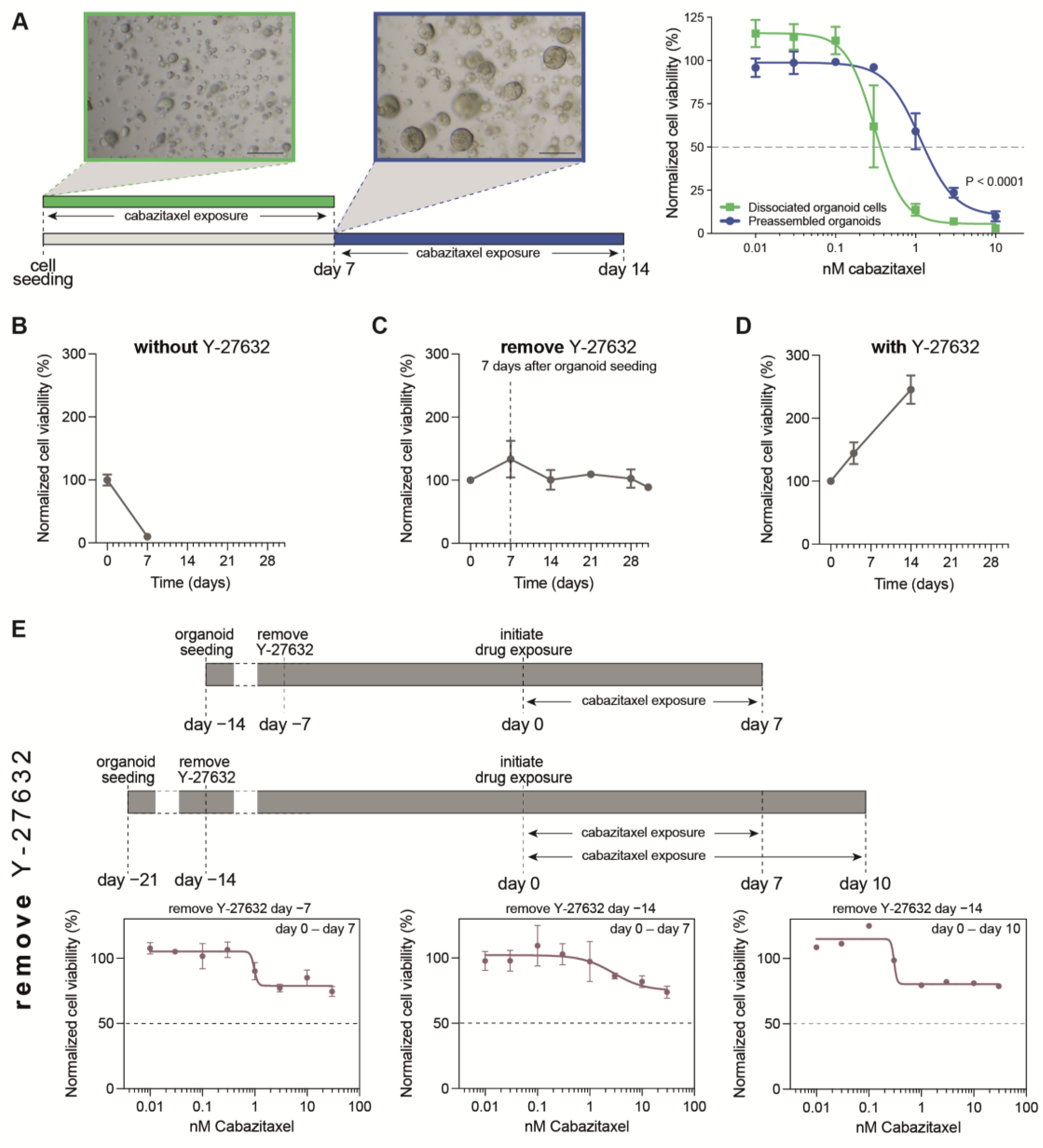Cells 12 01377 g001a