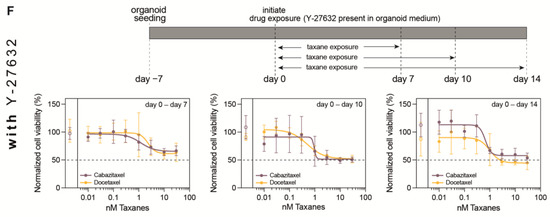 Cells 12 01377 g001b