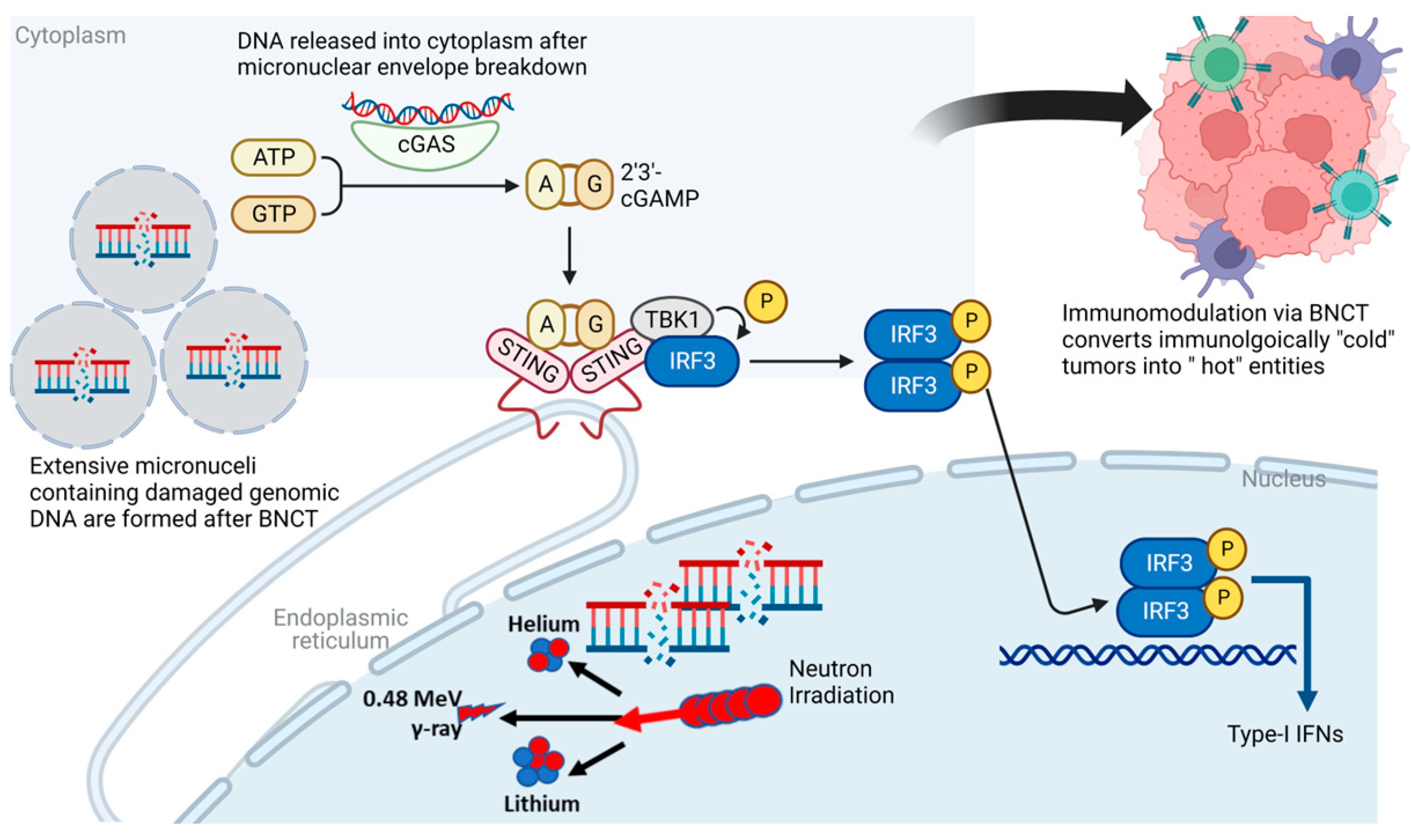 Cells 12 01398 g003 Cells 12 01398 g003