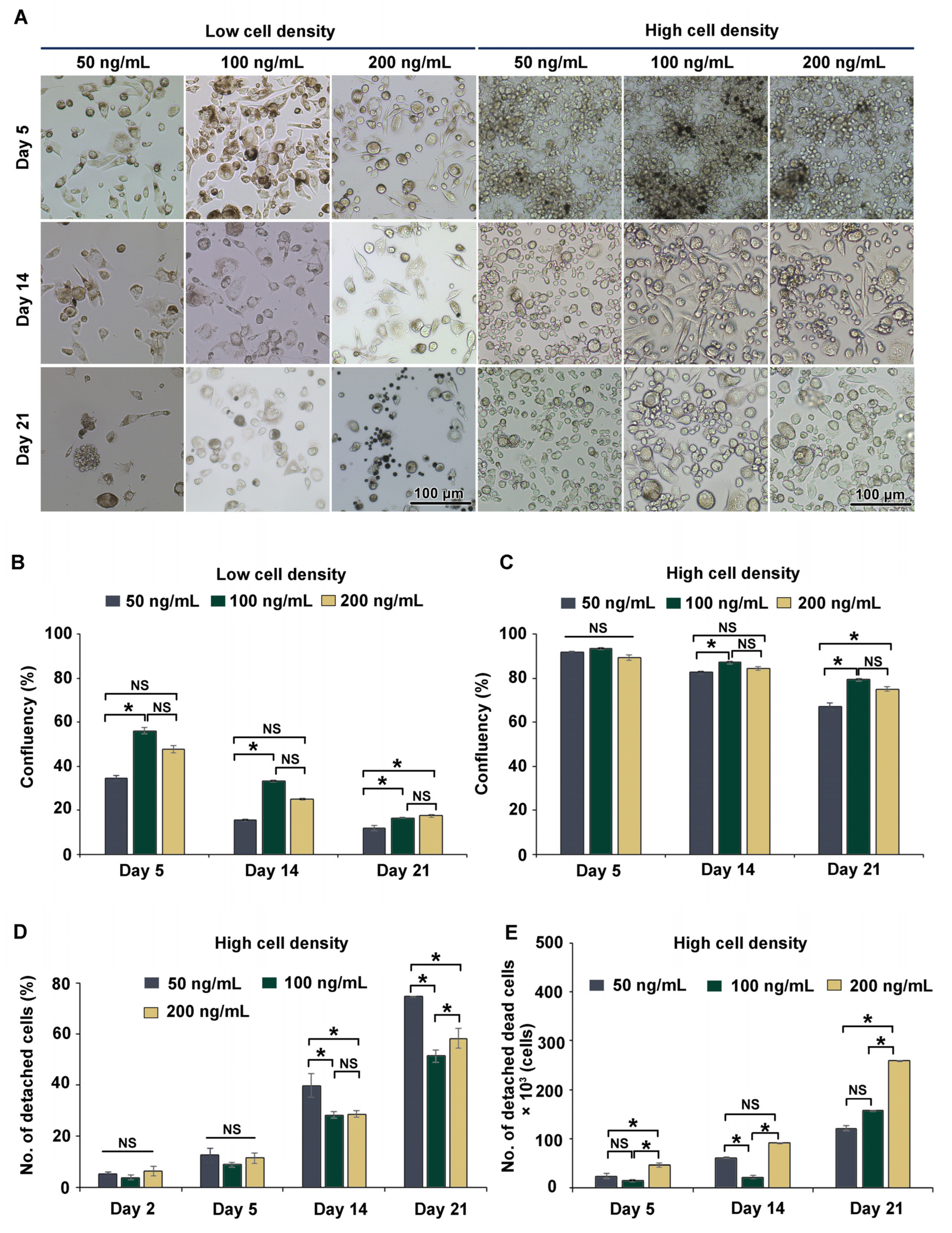 Cells 12 01427 g002