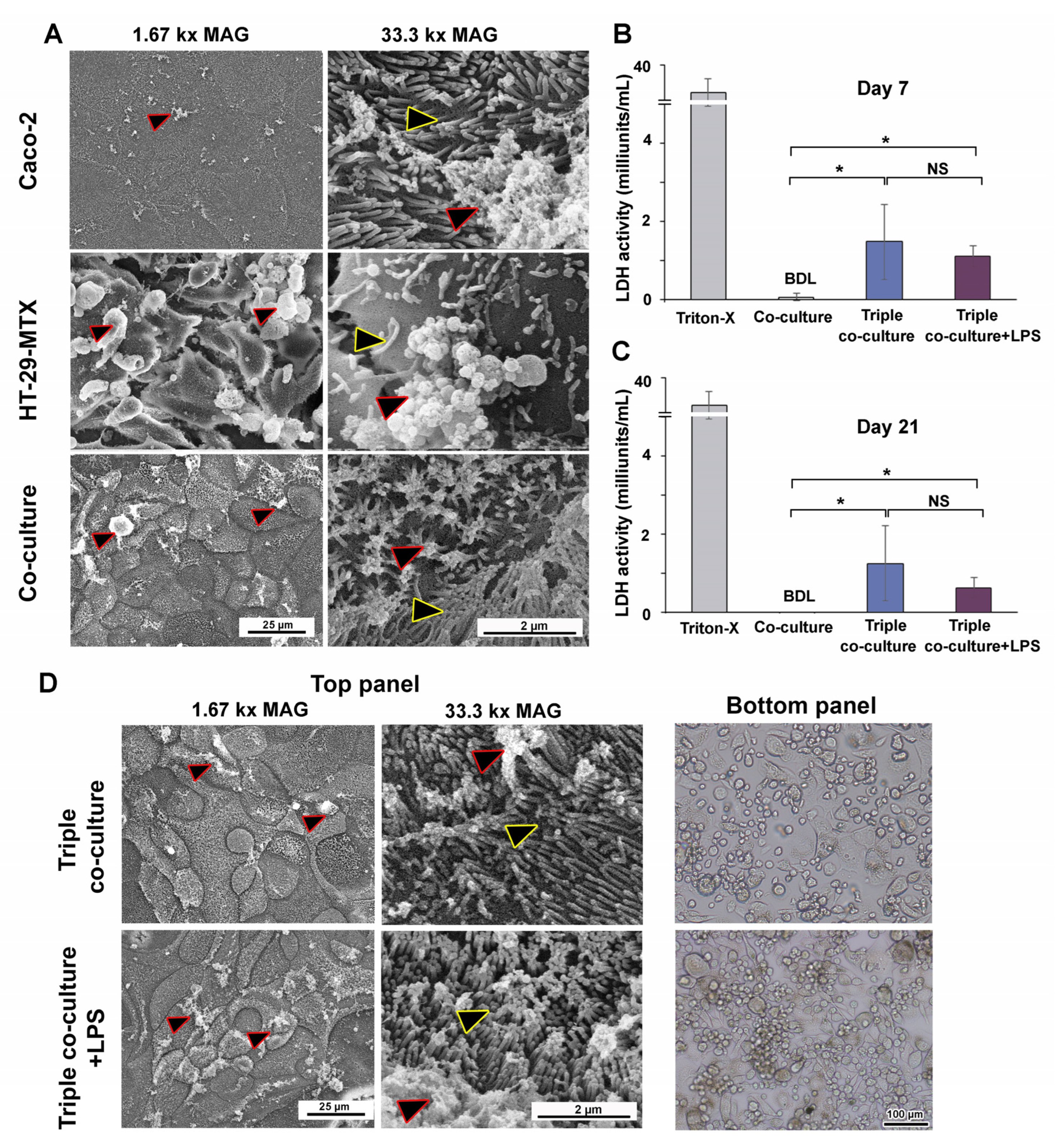 Cells 12 01427 g007