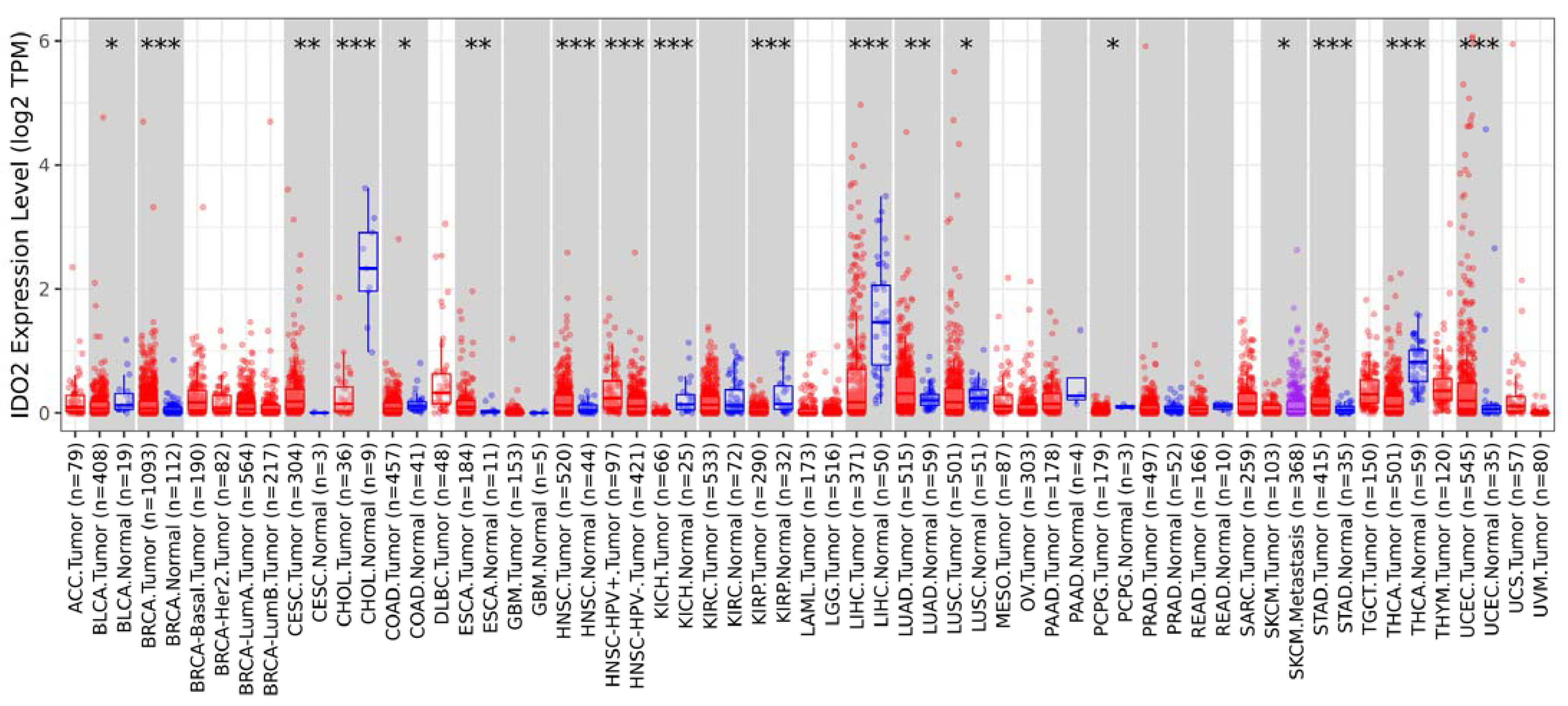 Cells 12 01433 g005 Cells 12 01433 g005