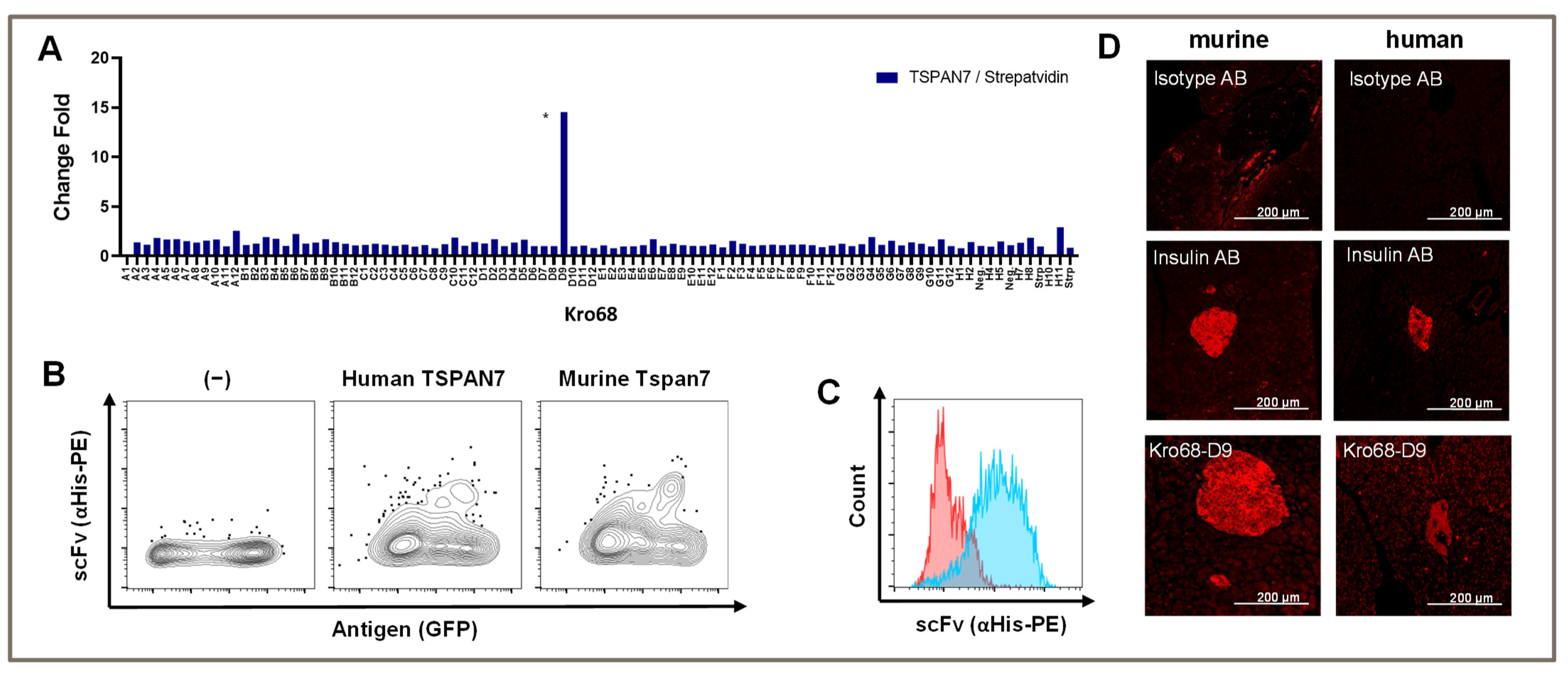 Cells 12 01453 g003 Cells 12 01453 g003