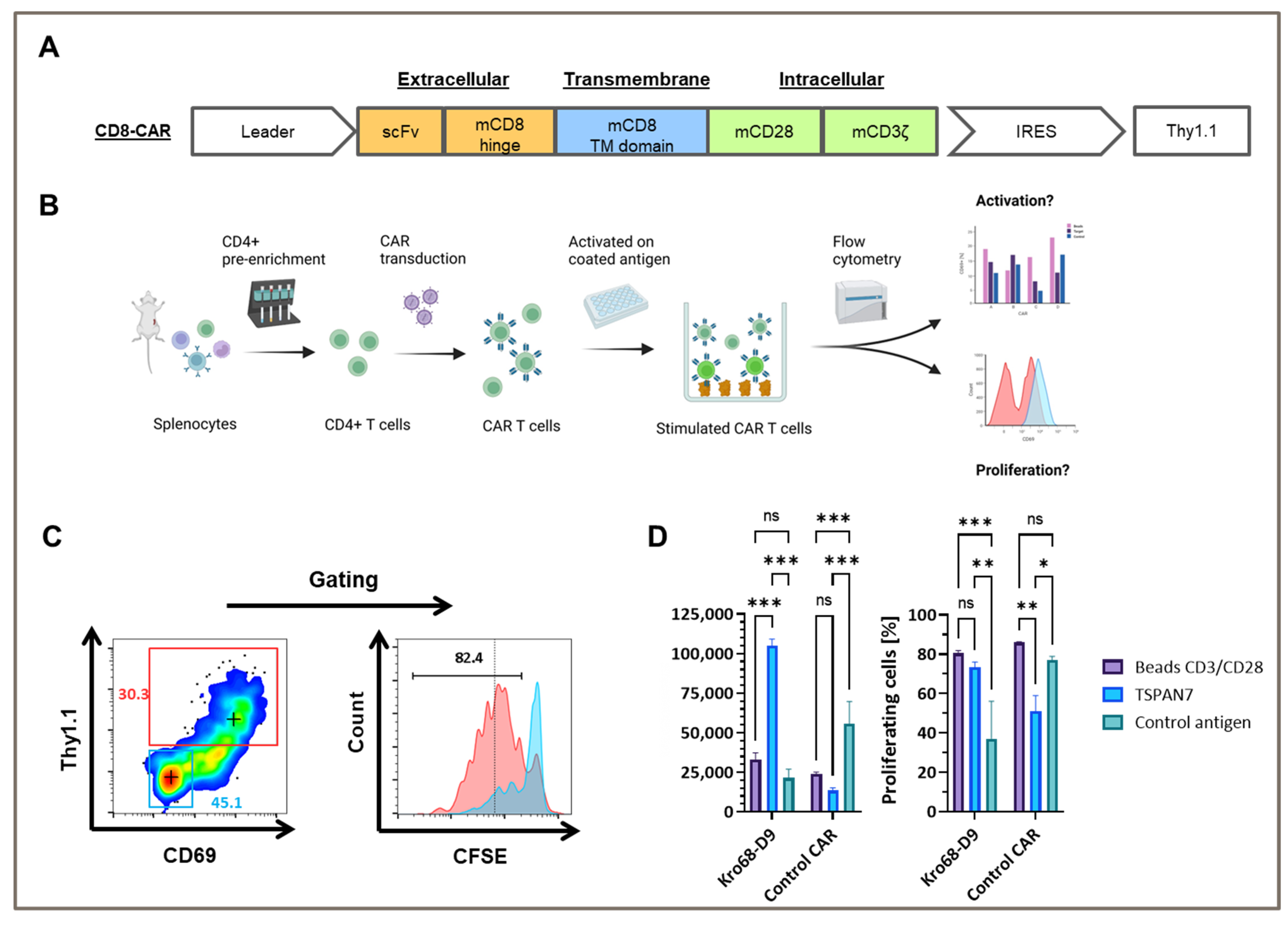 Cells 12 01453 g004 Cells 12 01453 g004
