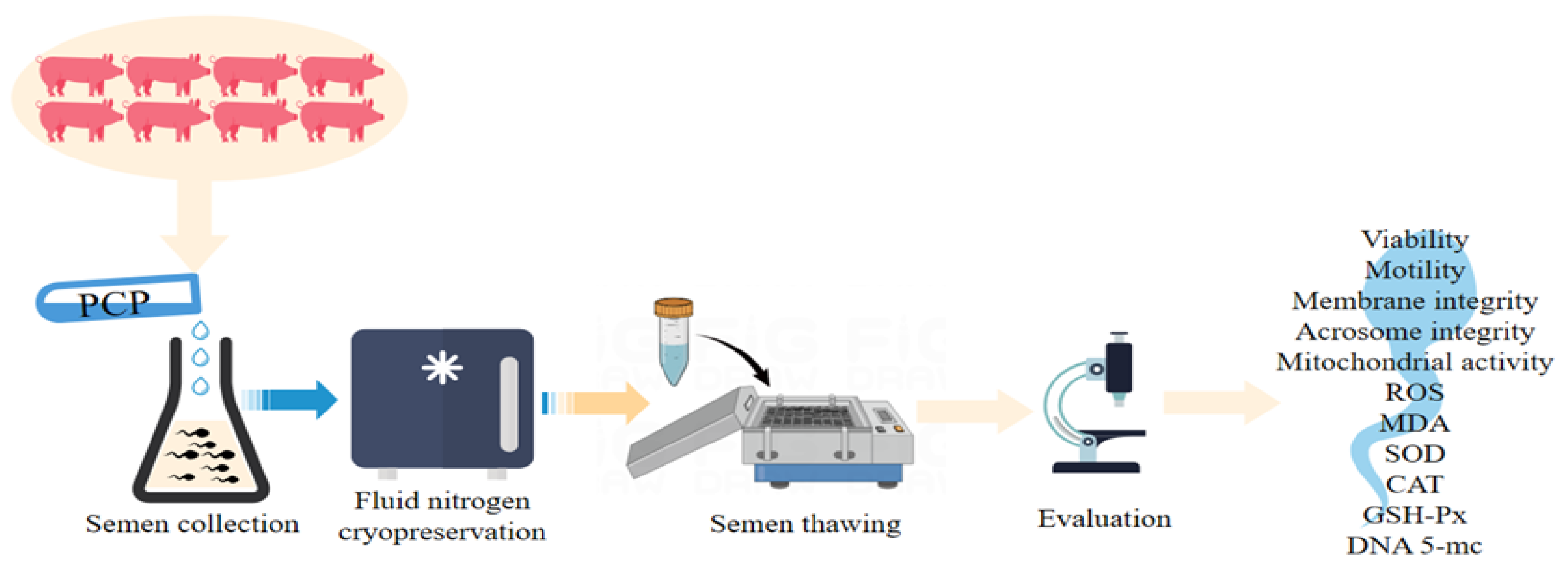 Cells 12 01456 g001 Cells 12 01456 g001