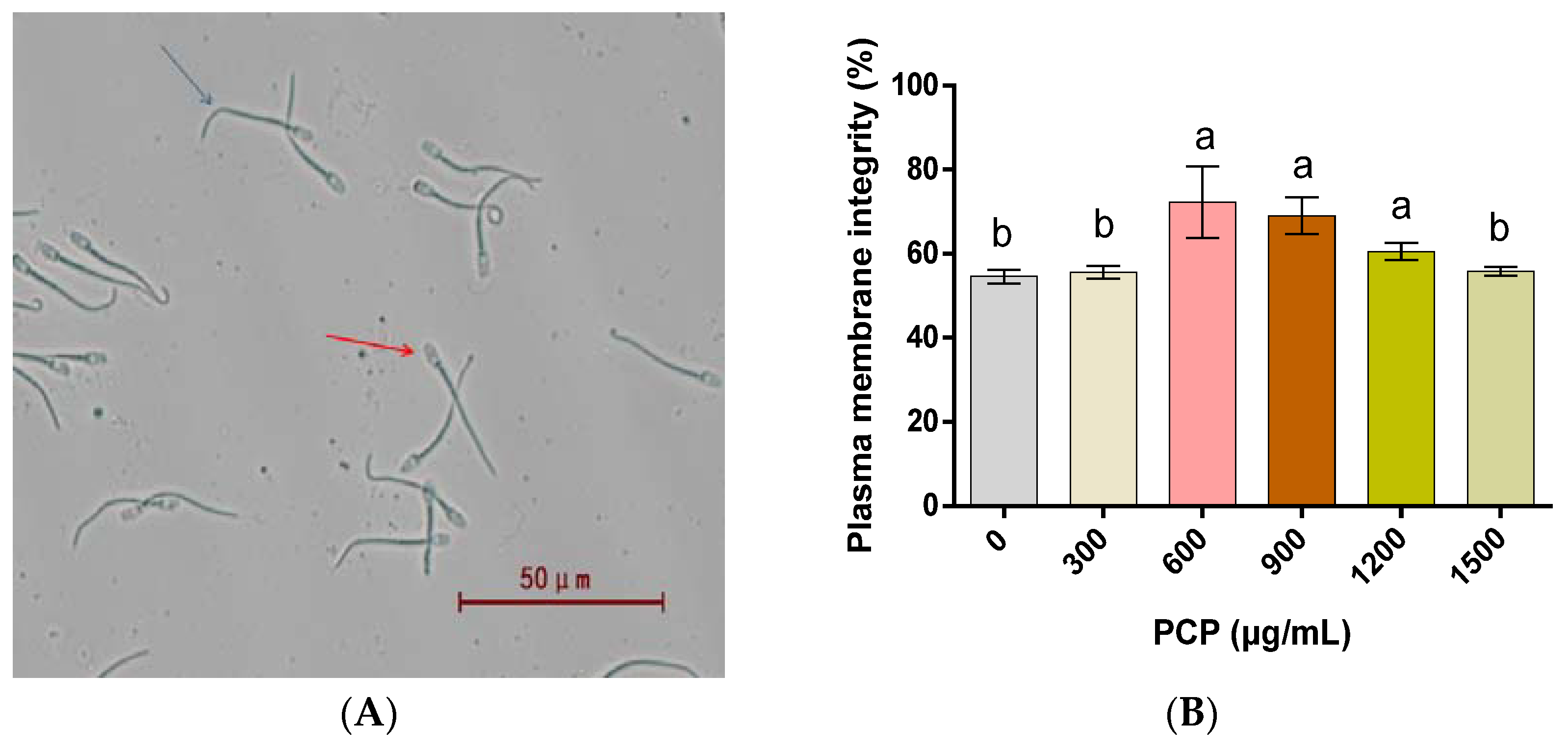Cells 12 01456 g003 Cells 12 01456 g003