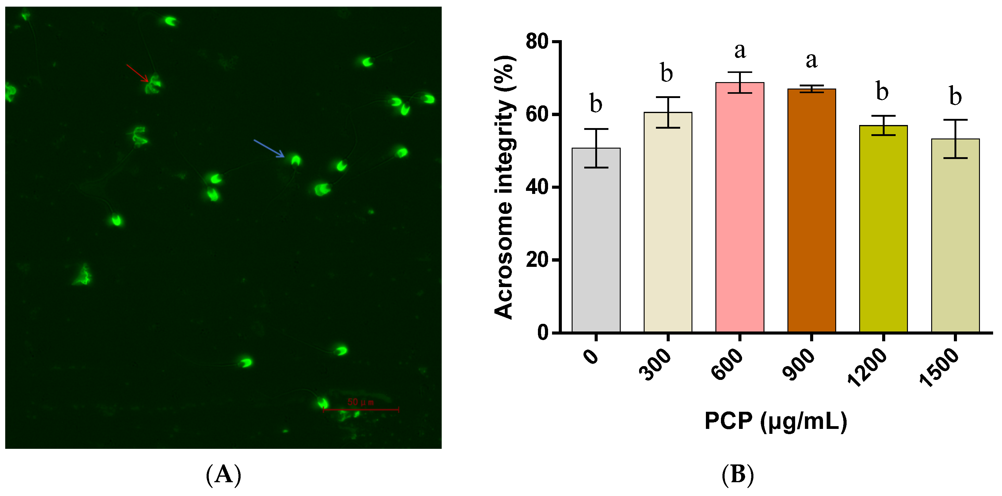 Cells 12 01456 g004 Cells 12 01456 g004