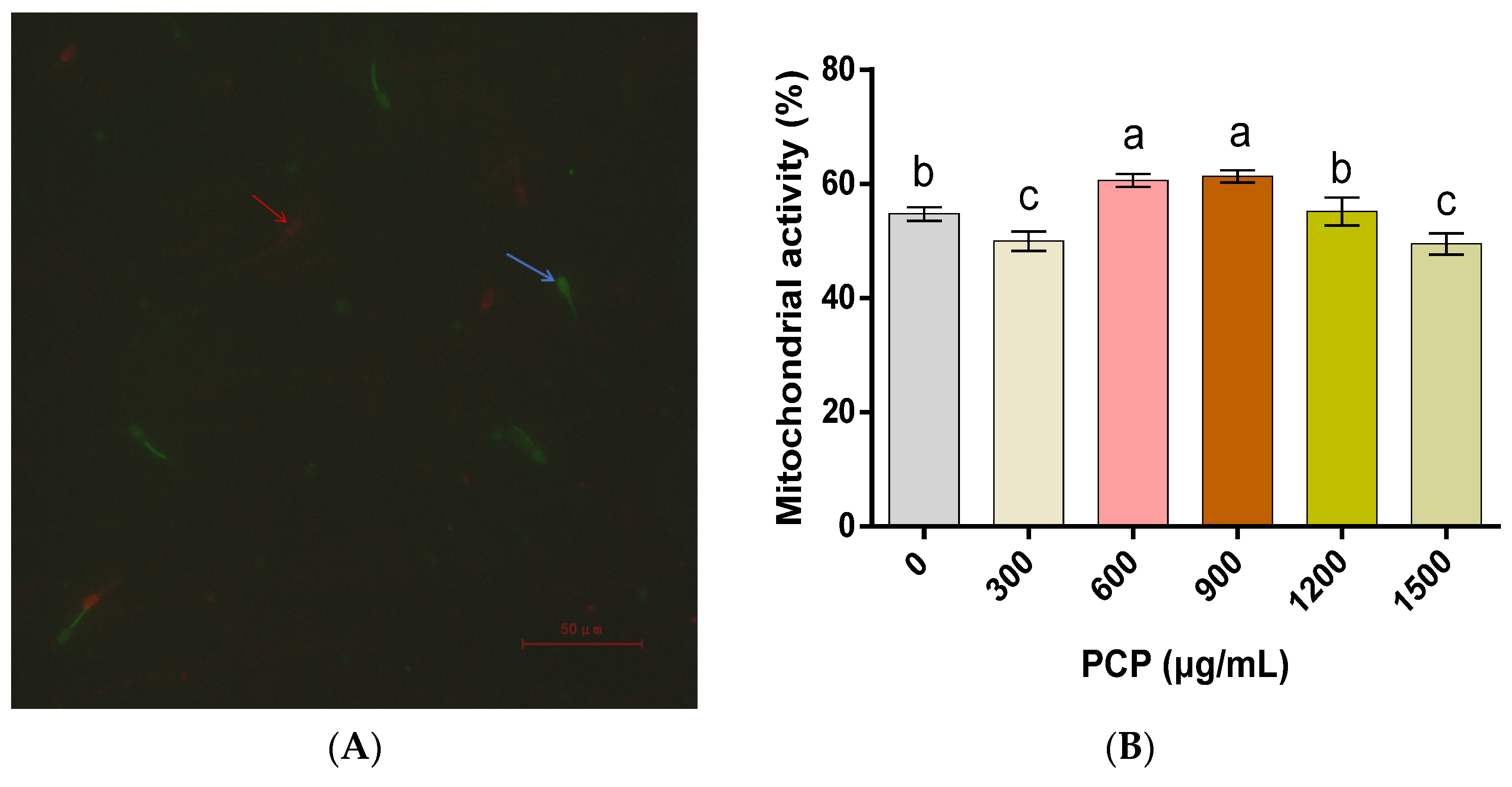 Cells 12 01456 g005 Cells 12 01456 g005
