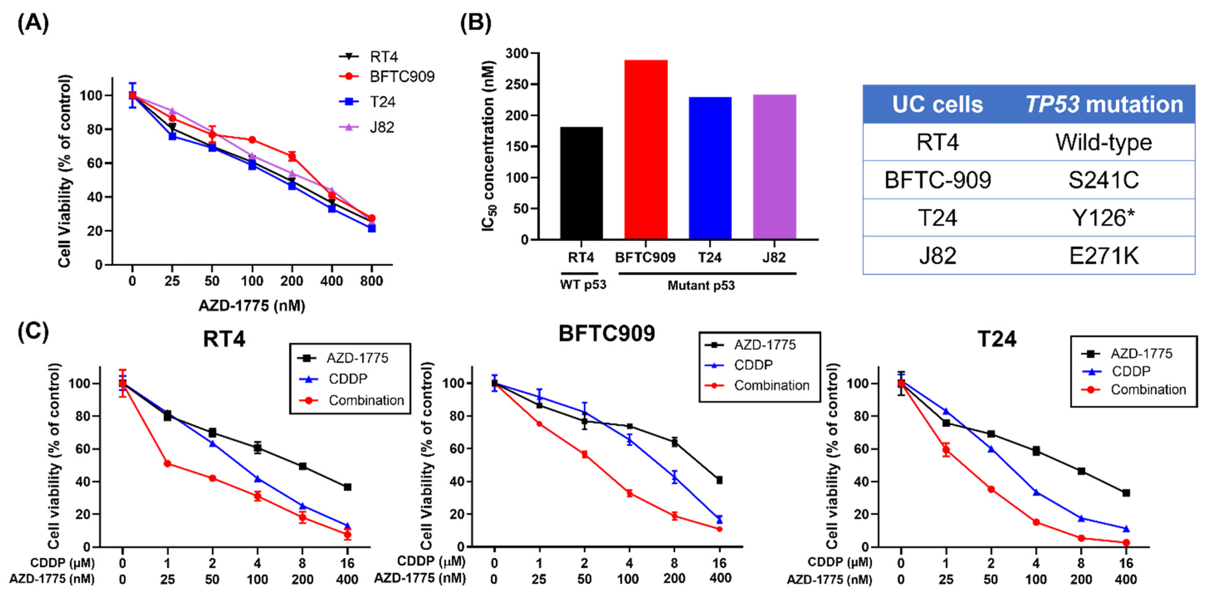 Cells 12 01471 g001 Cells 12 01471 g001