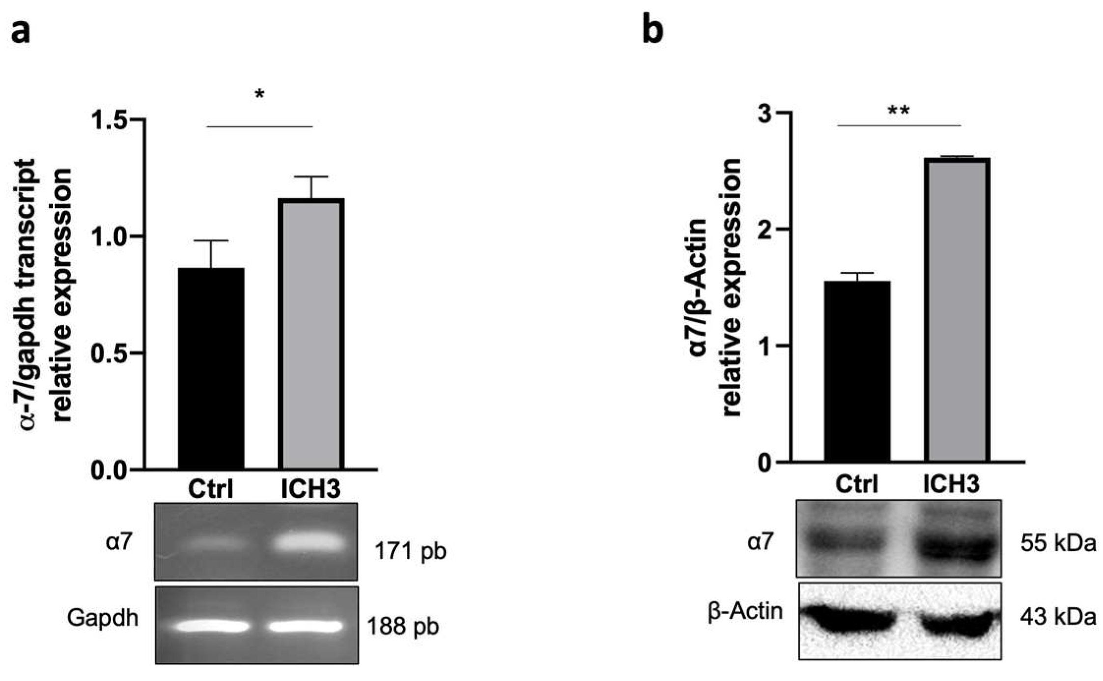 Cells 12 01494 g001 Cells 12 01494 g001