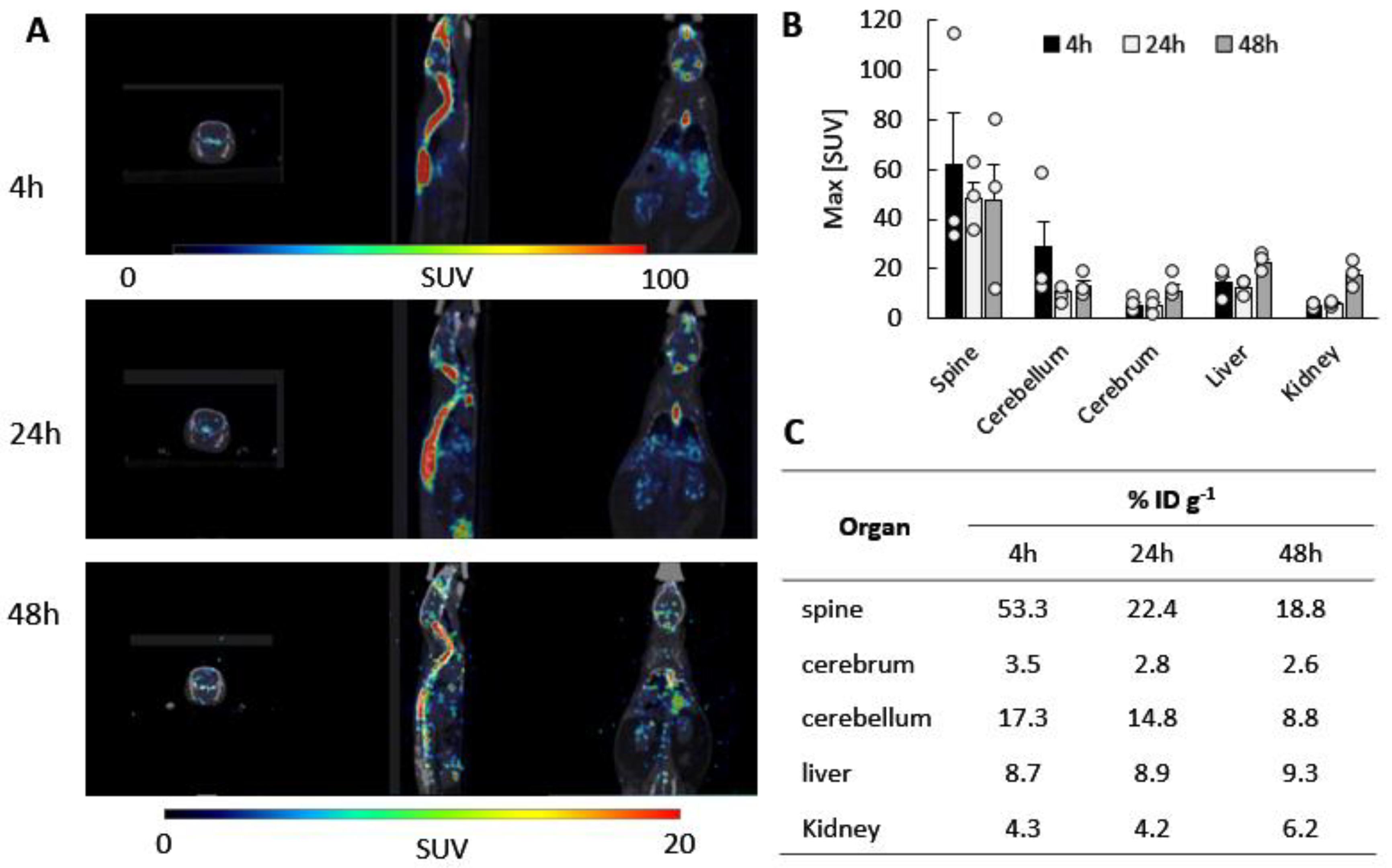 Cells 12 01497 g002 Cells 12 01497 g002