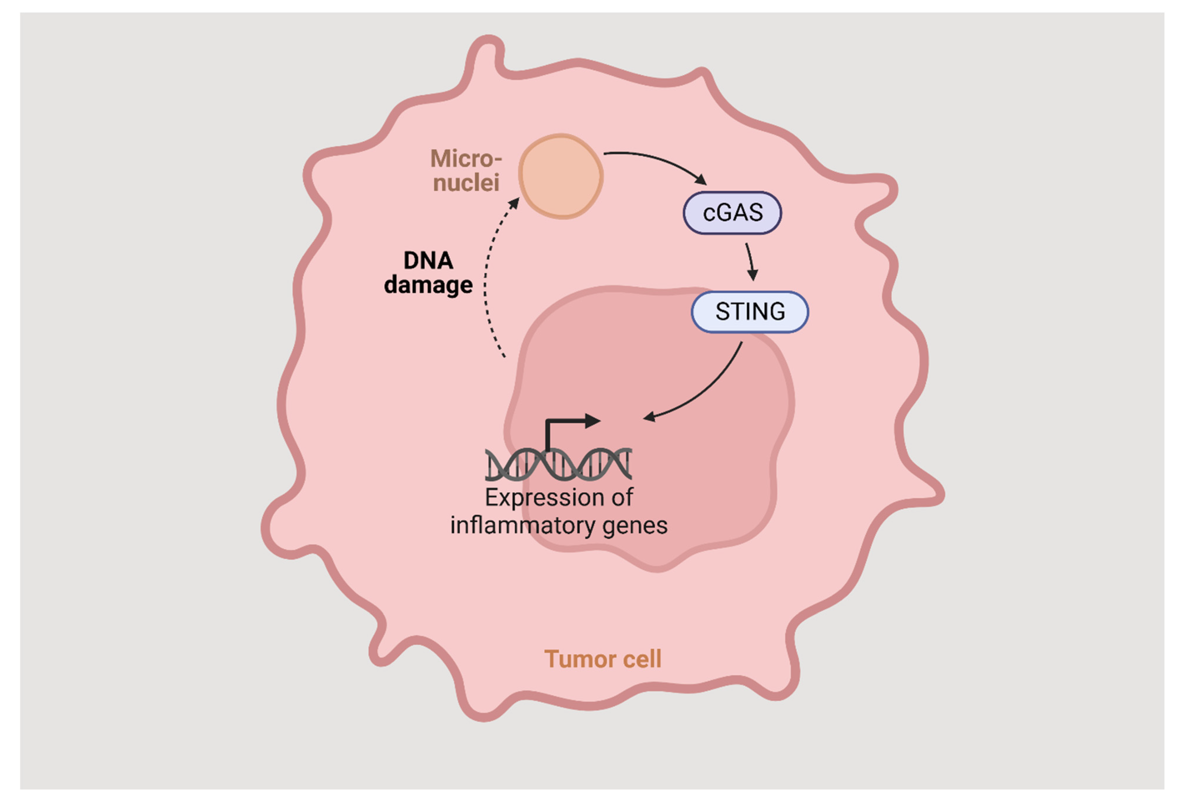 Cells 12 01499 g002 Cells 12 01499 g002