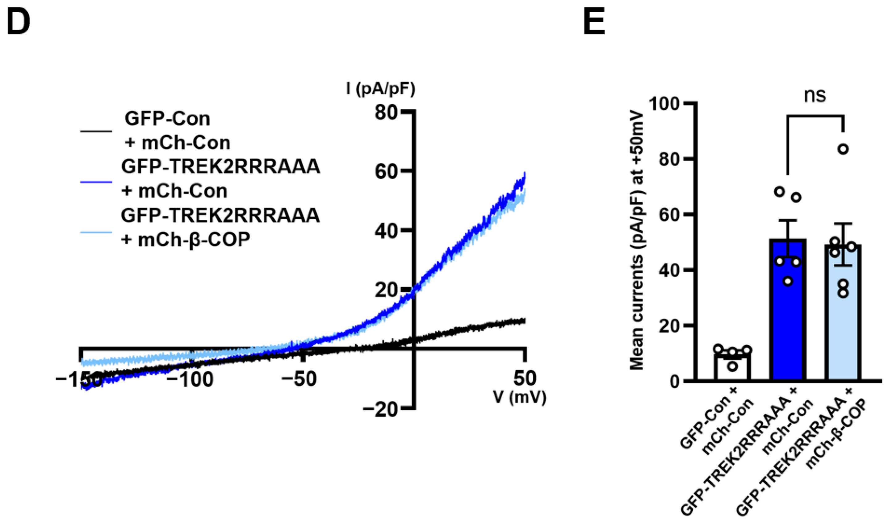 Cells 12 01500 g005b Cells 12 01500 g005b