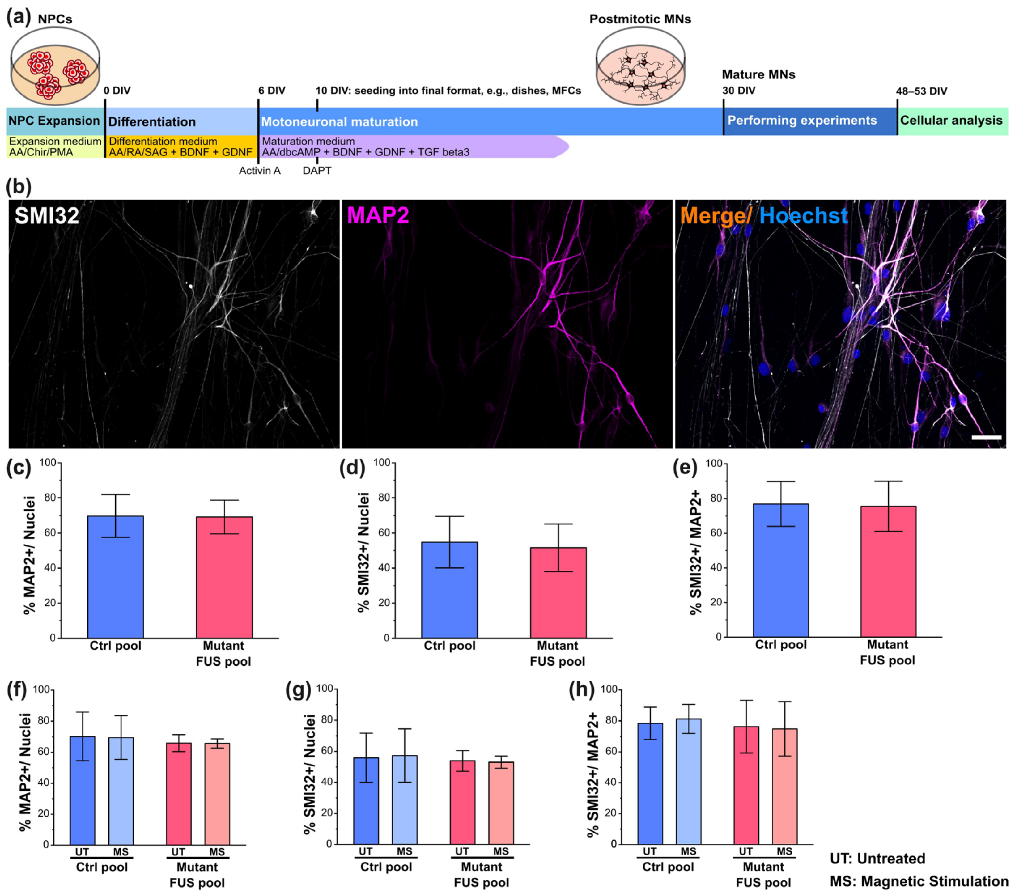 Cells 12 01502 g001 Cells 12 01502 g001