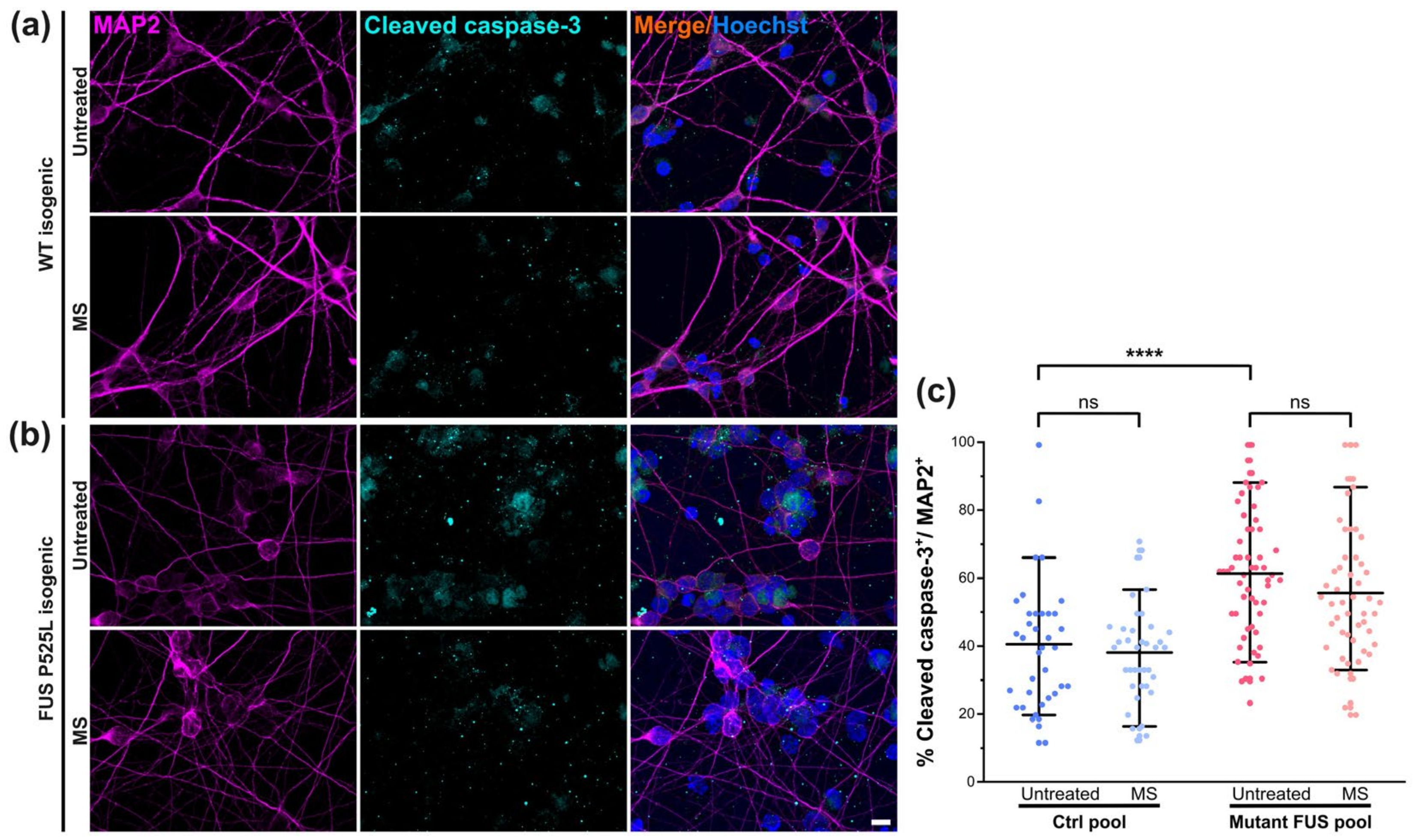 Cells 12 01502 g005 Cells 12 01502 g005