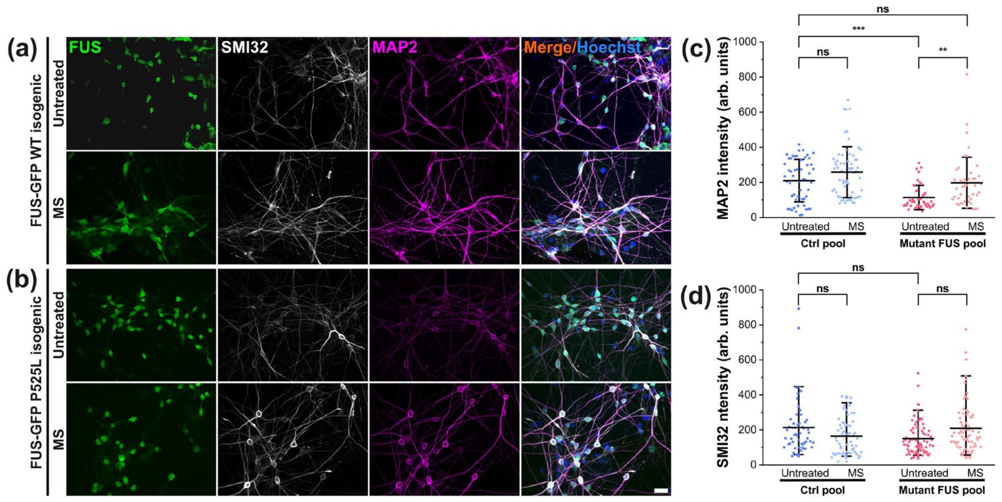 Cells 12 01502 g006 Cells 12 01502 g006