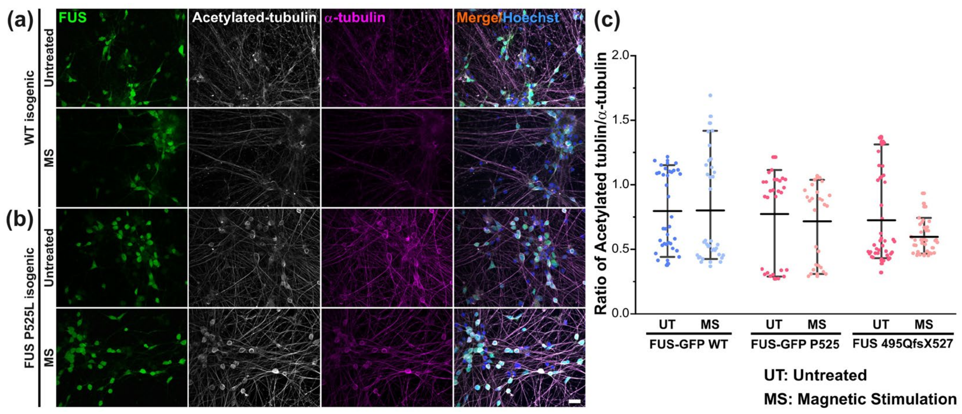 Cells 12 01502 g007 Cells 12 01502 g007