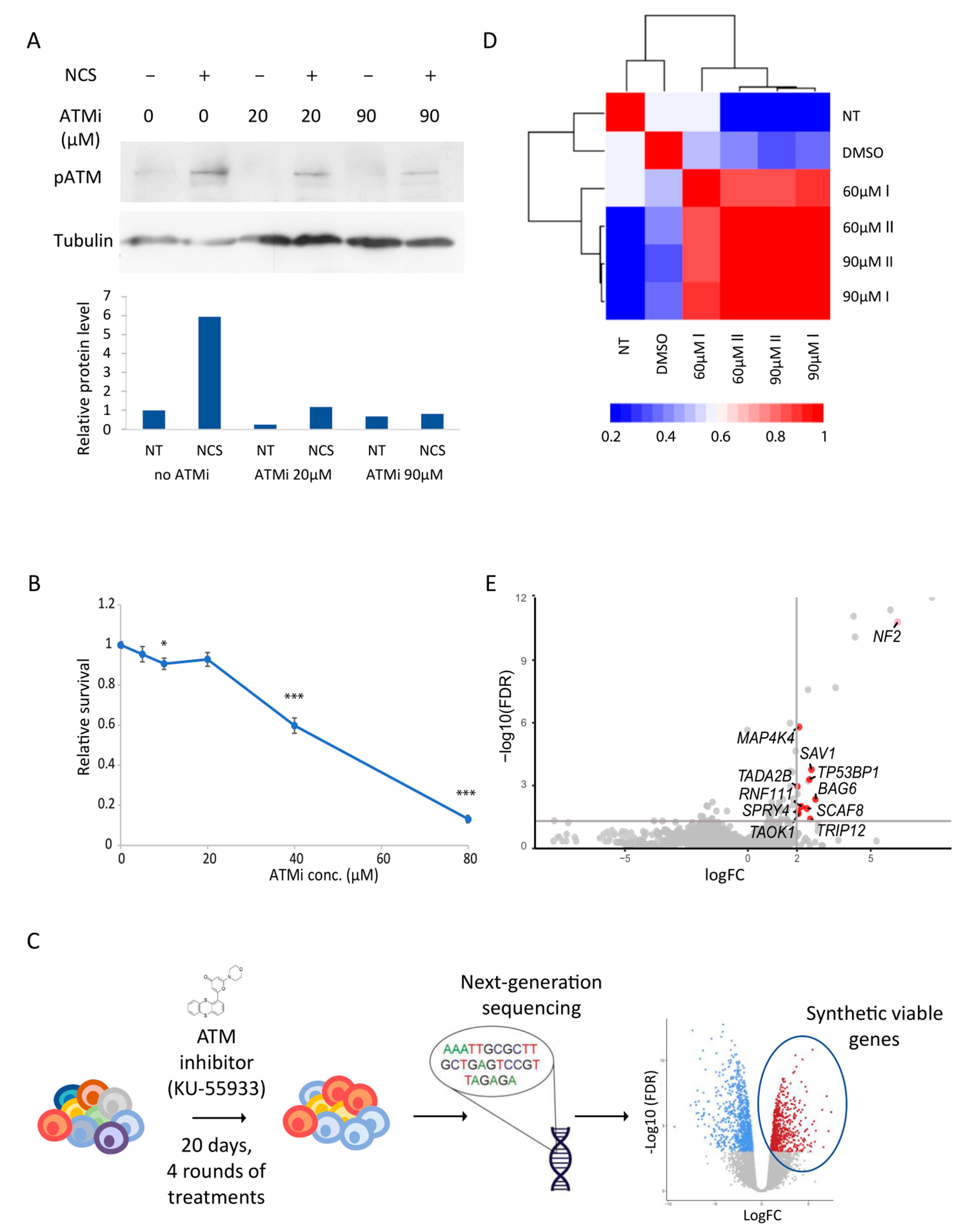 Cells 12 01503 g001 Cells 12 01503 g001