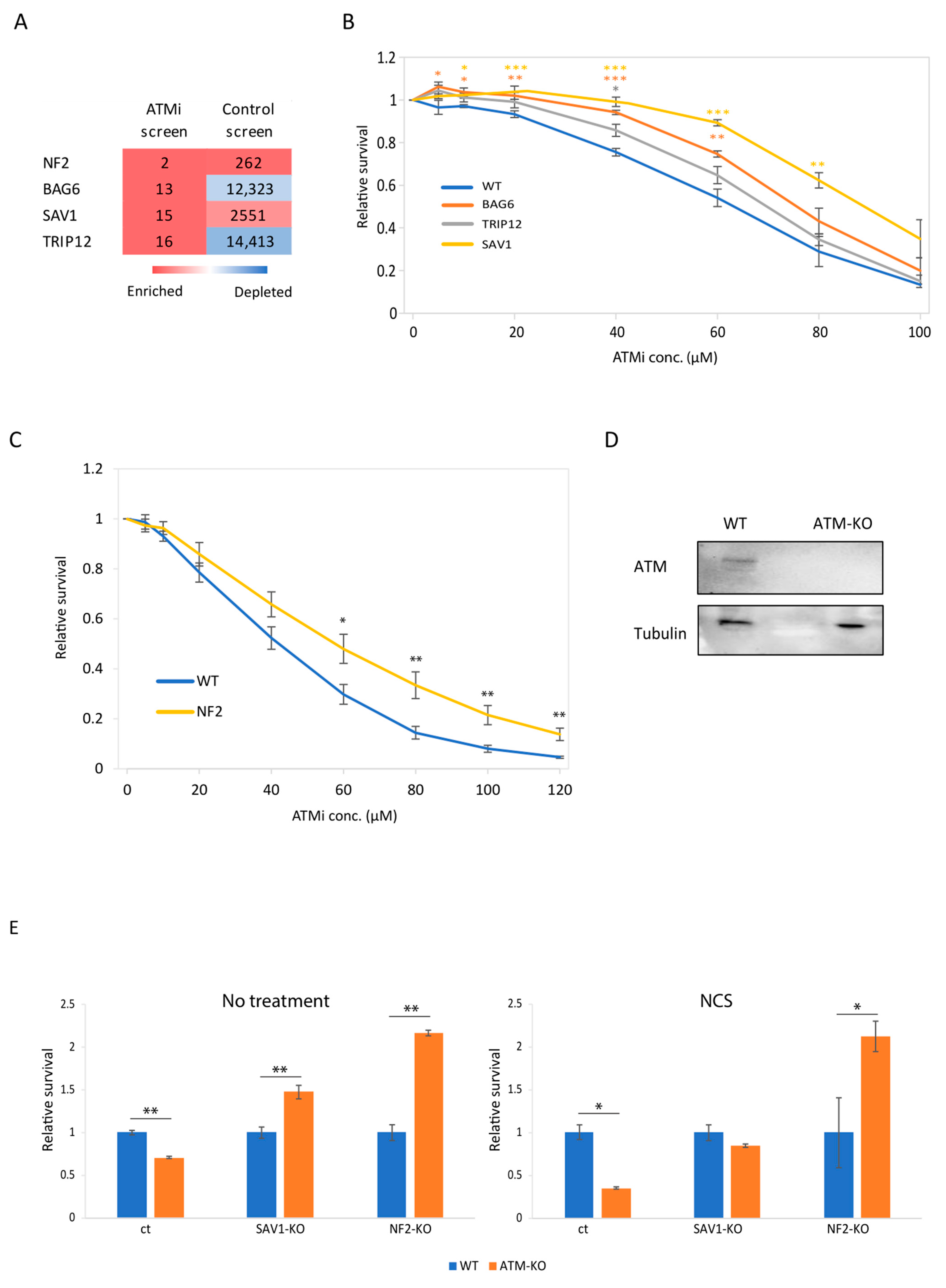 Cells 12 01503 g003 Cells 12 01503 g003