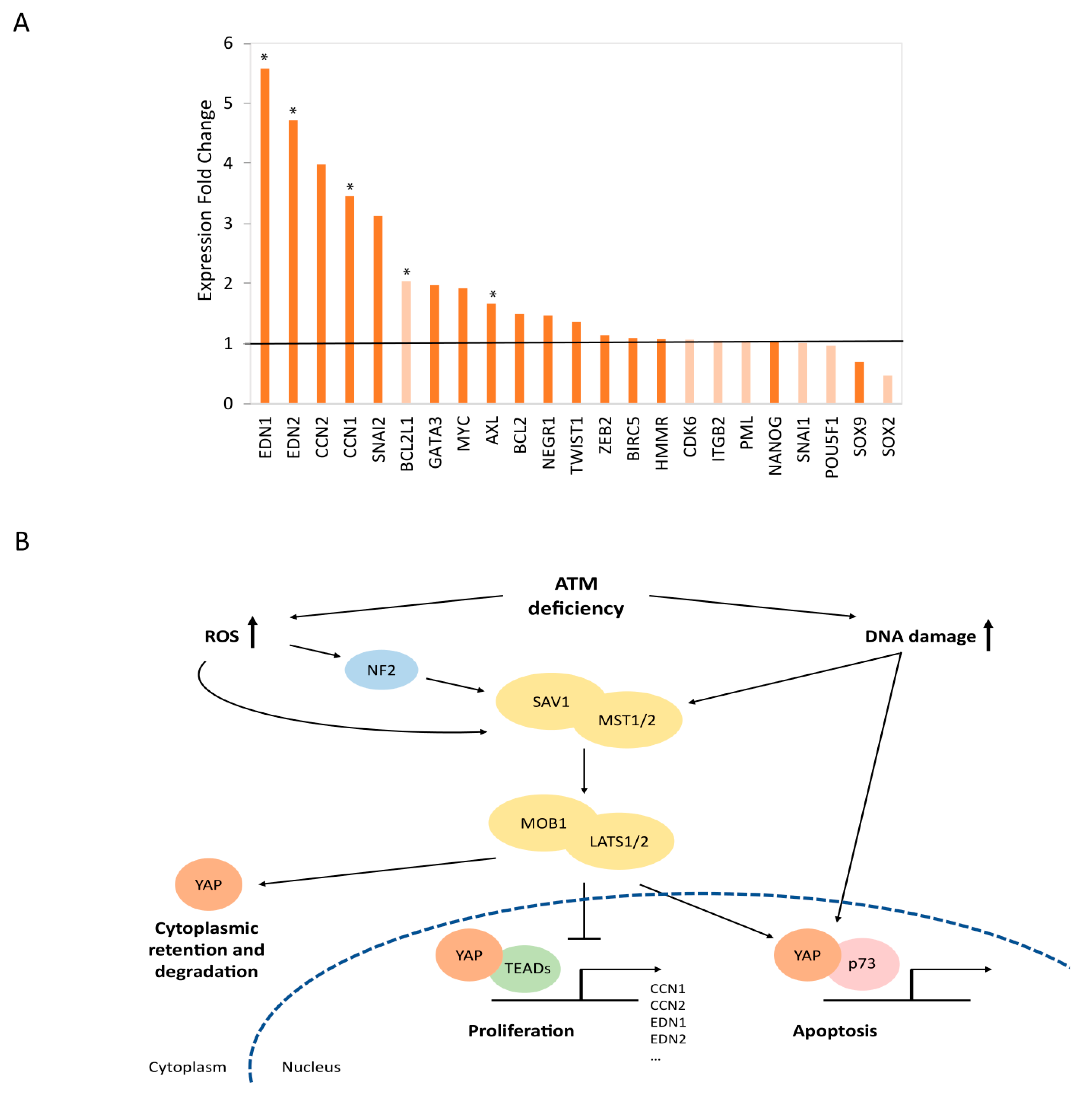 Cells 12 01503 g005 Cells 12 01503 g005